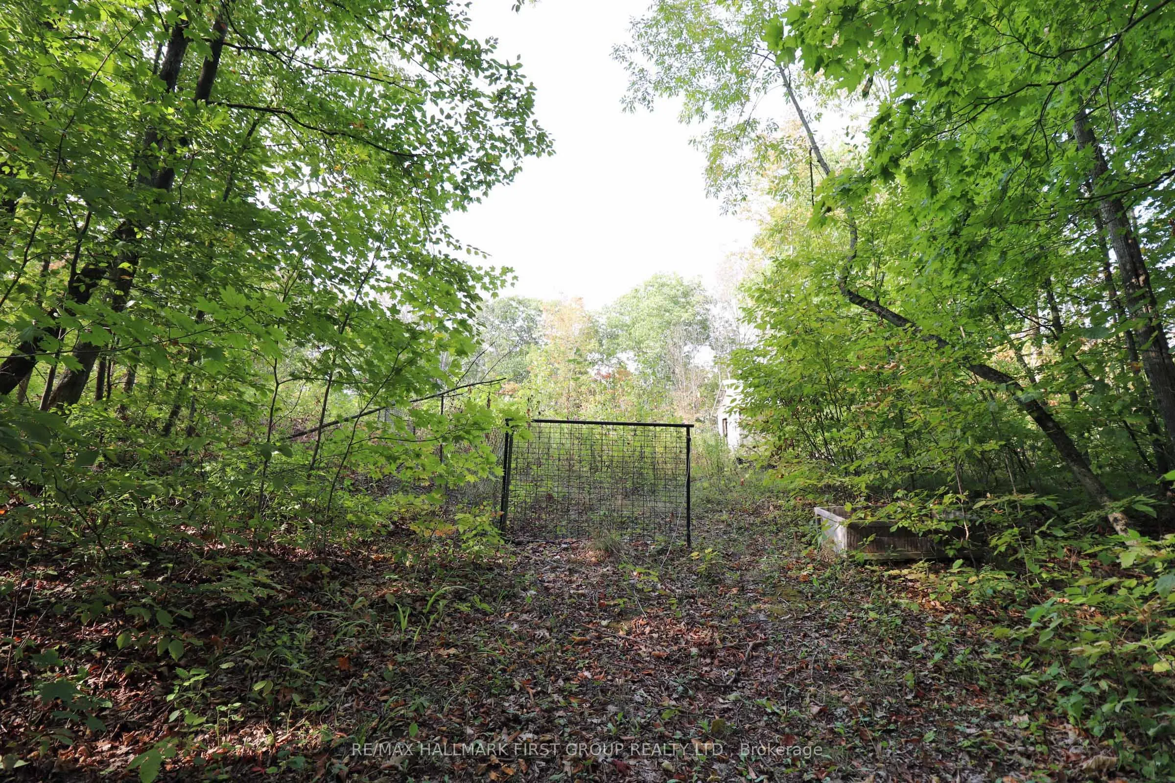 76 Black River Lane