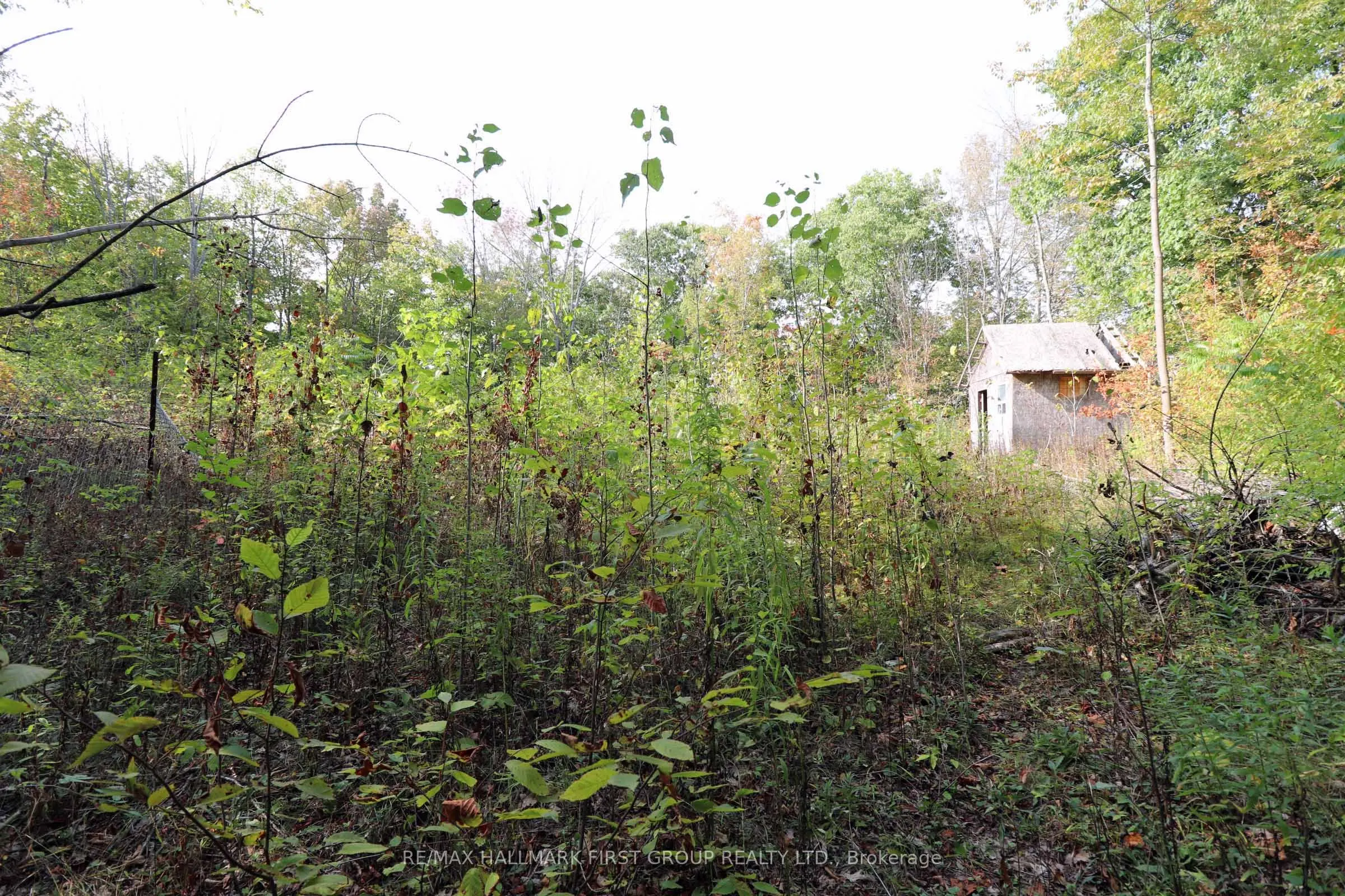 76 Black River Lane