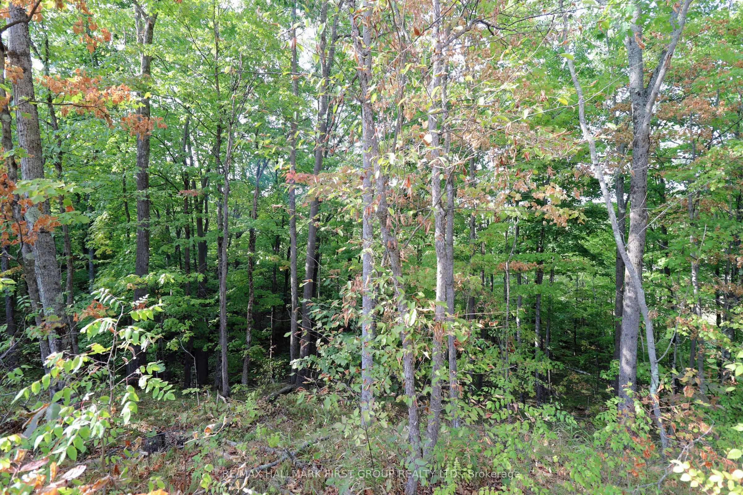 76 Black River Lane