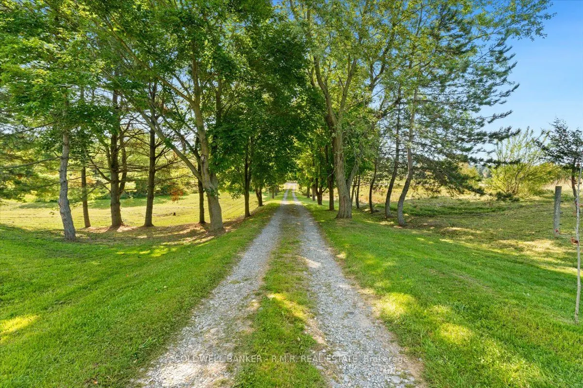 1126 County 41 Road