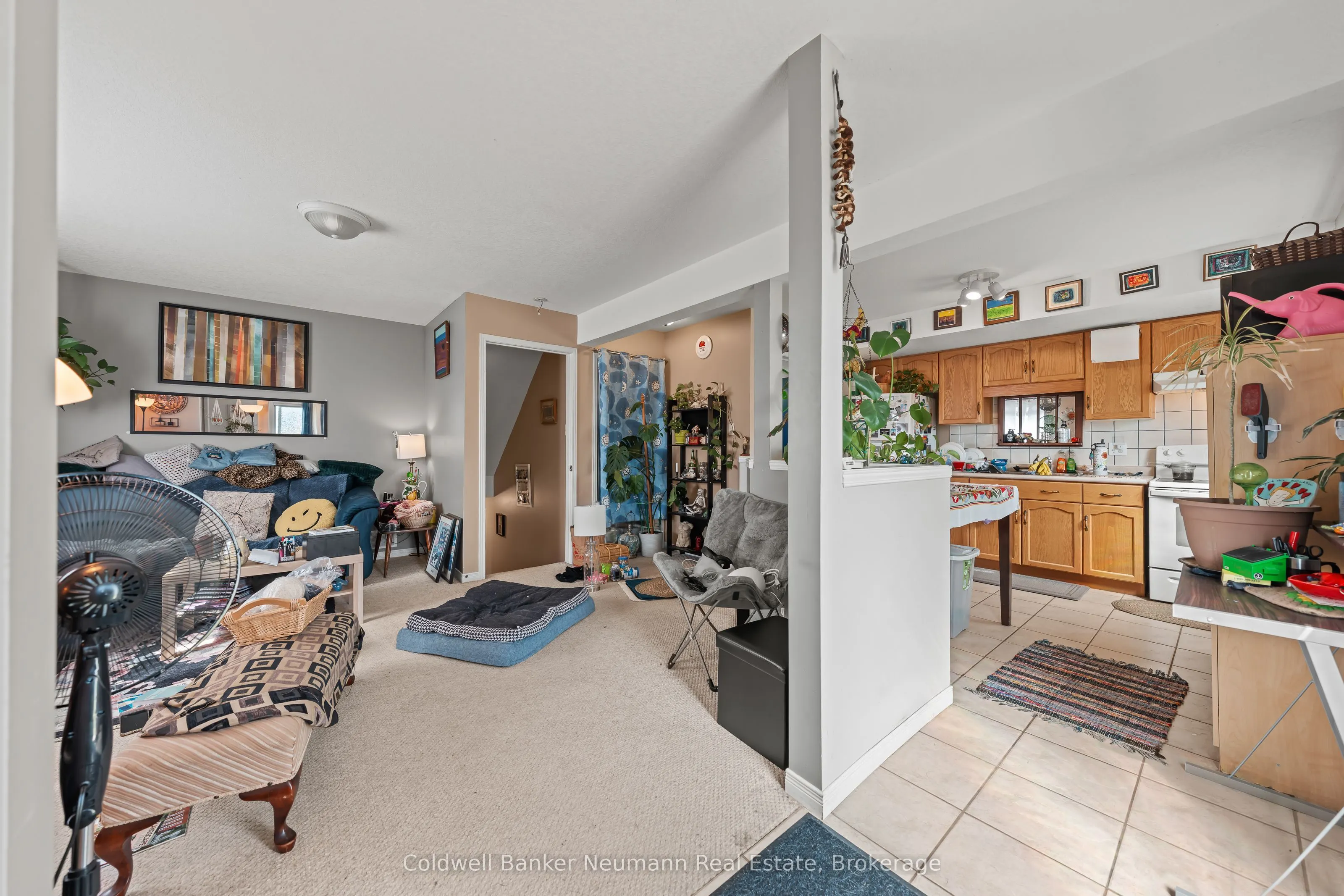 28 Bronwyn Place