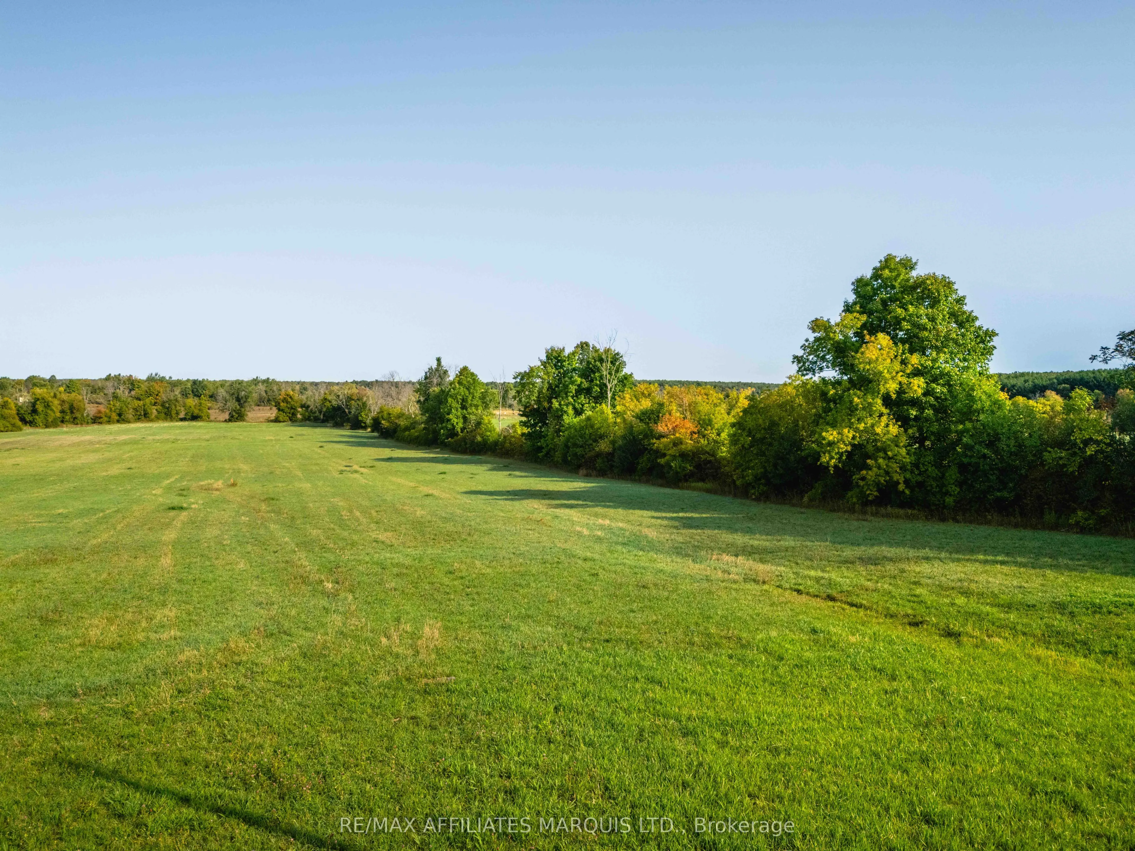LOT Black River Road