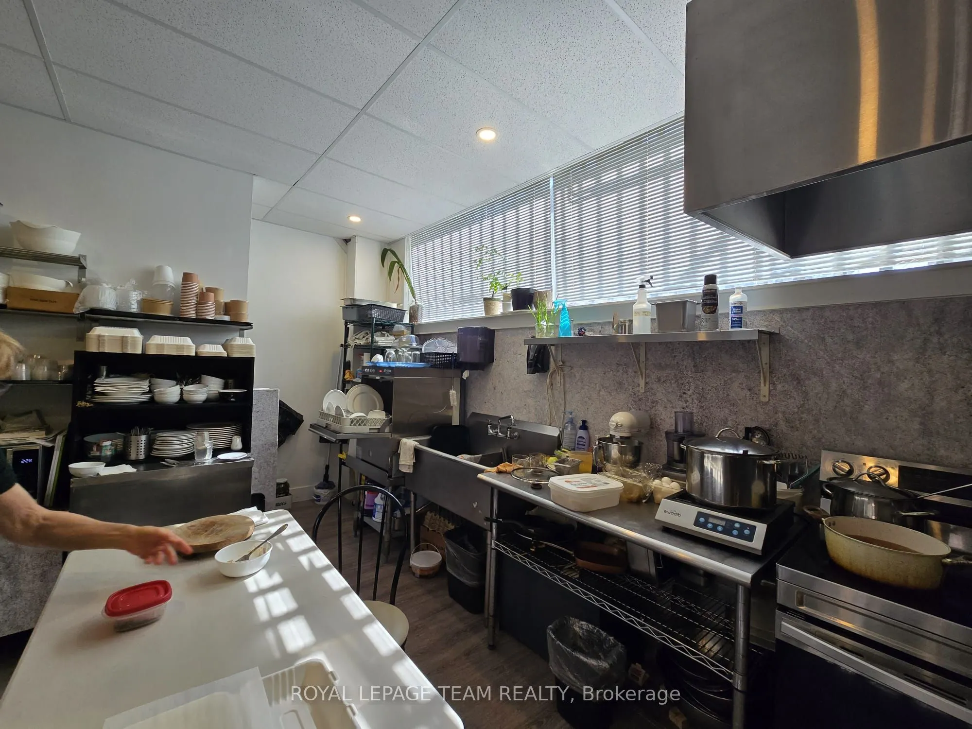 274 ELGIN Street
