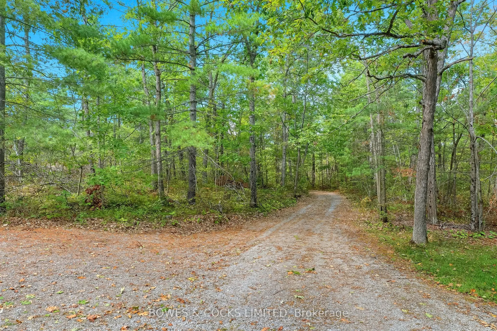 207 Fire Route 82