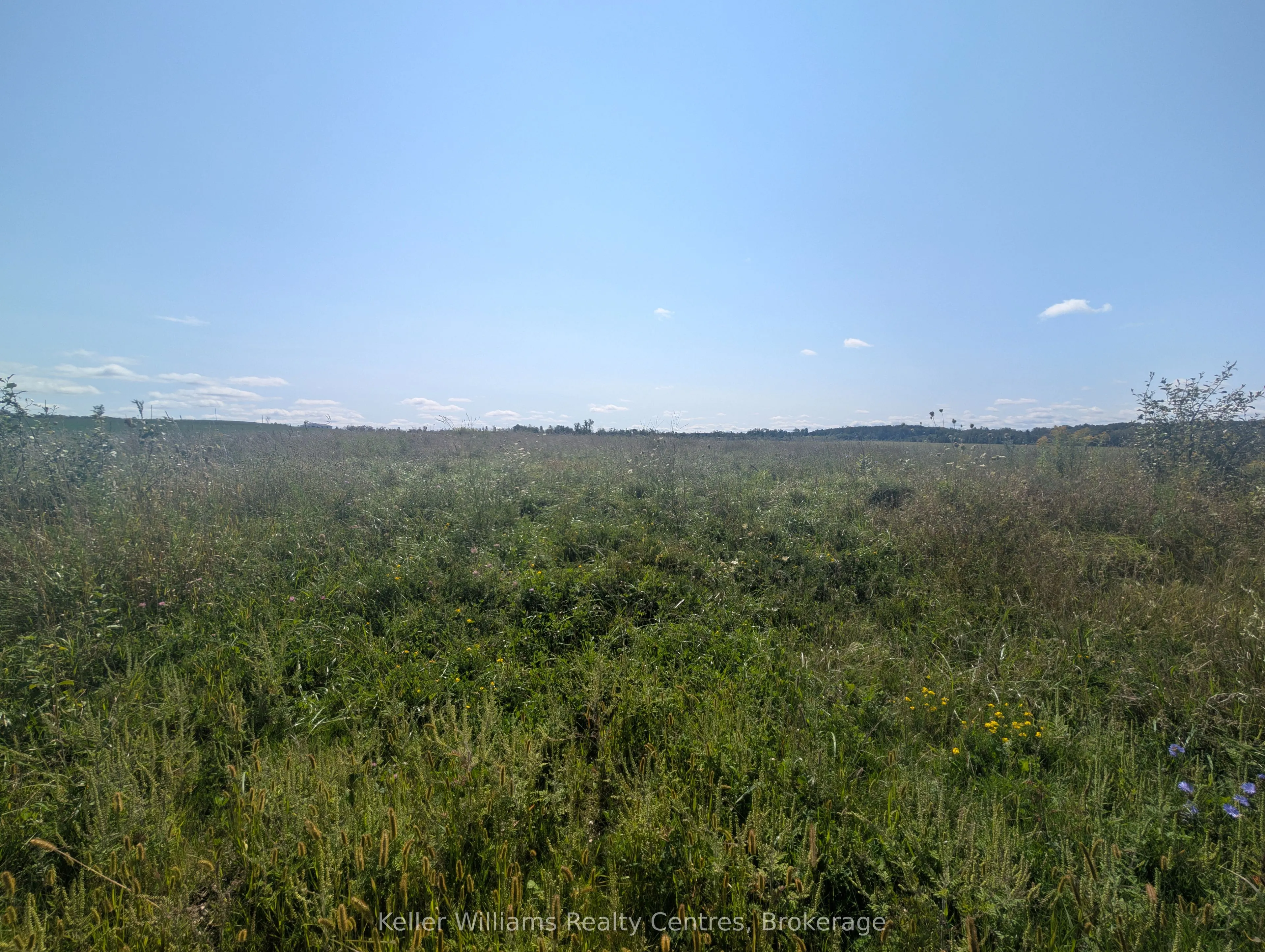 Part of Lot 24 Side Road