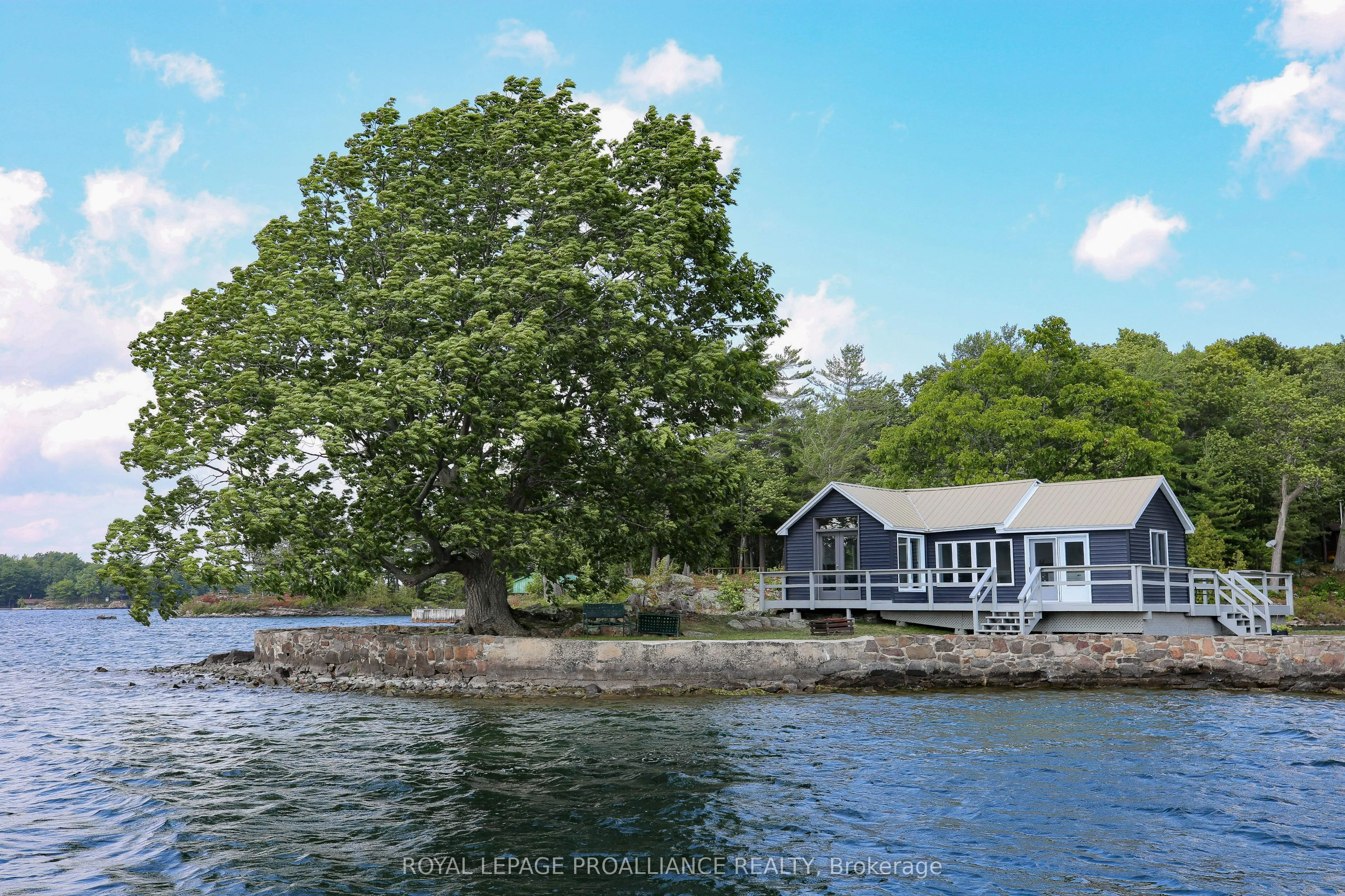 1 Black Cat Island