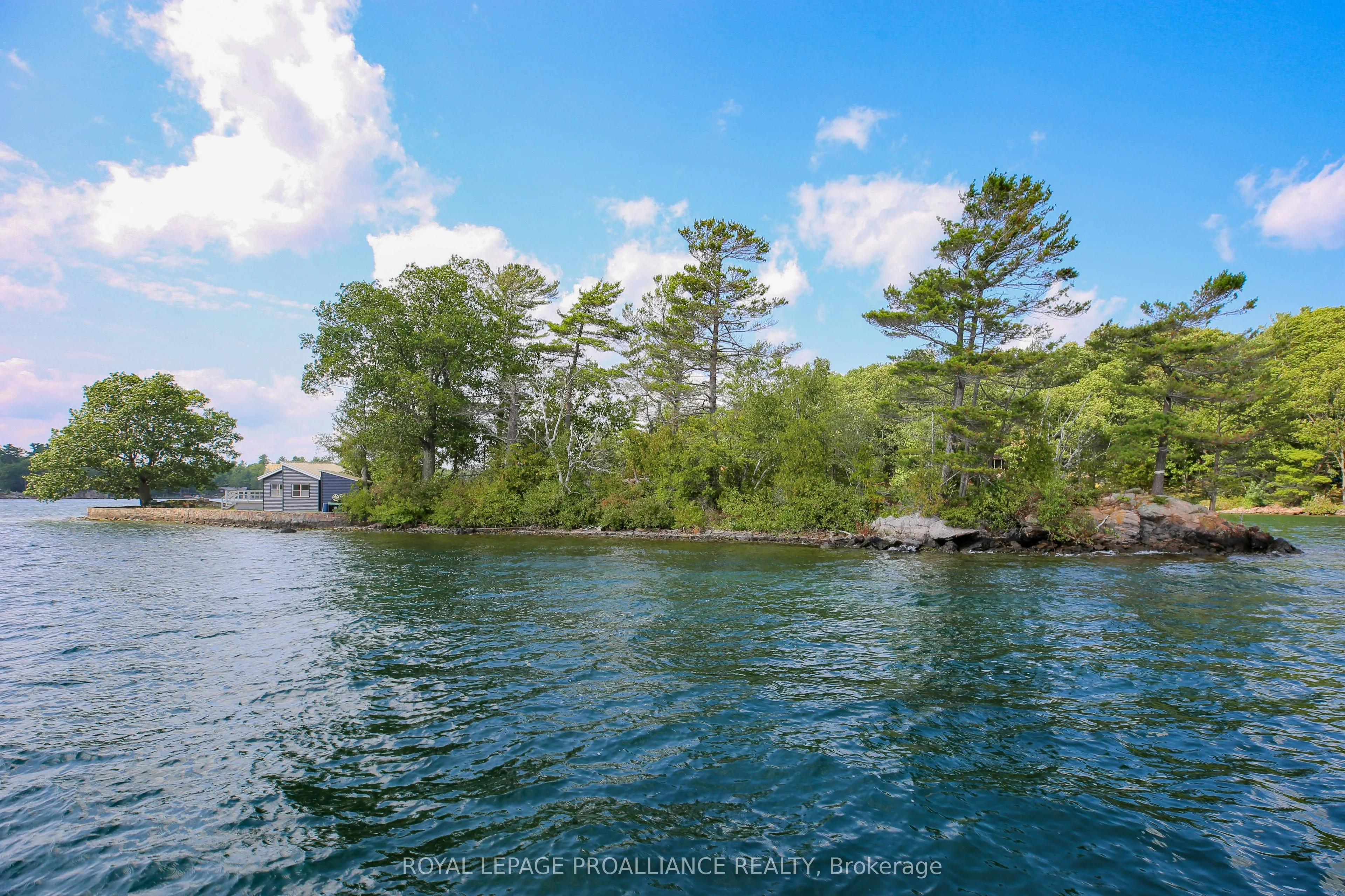 1 Black Cat Island