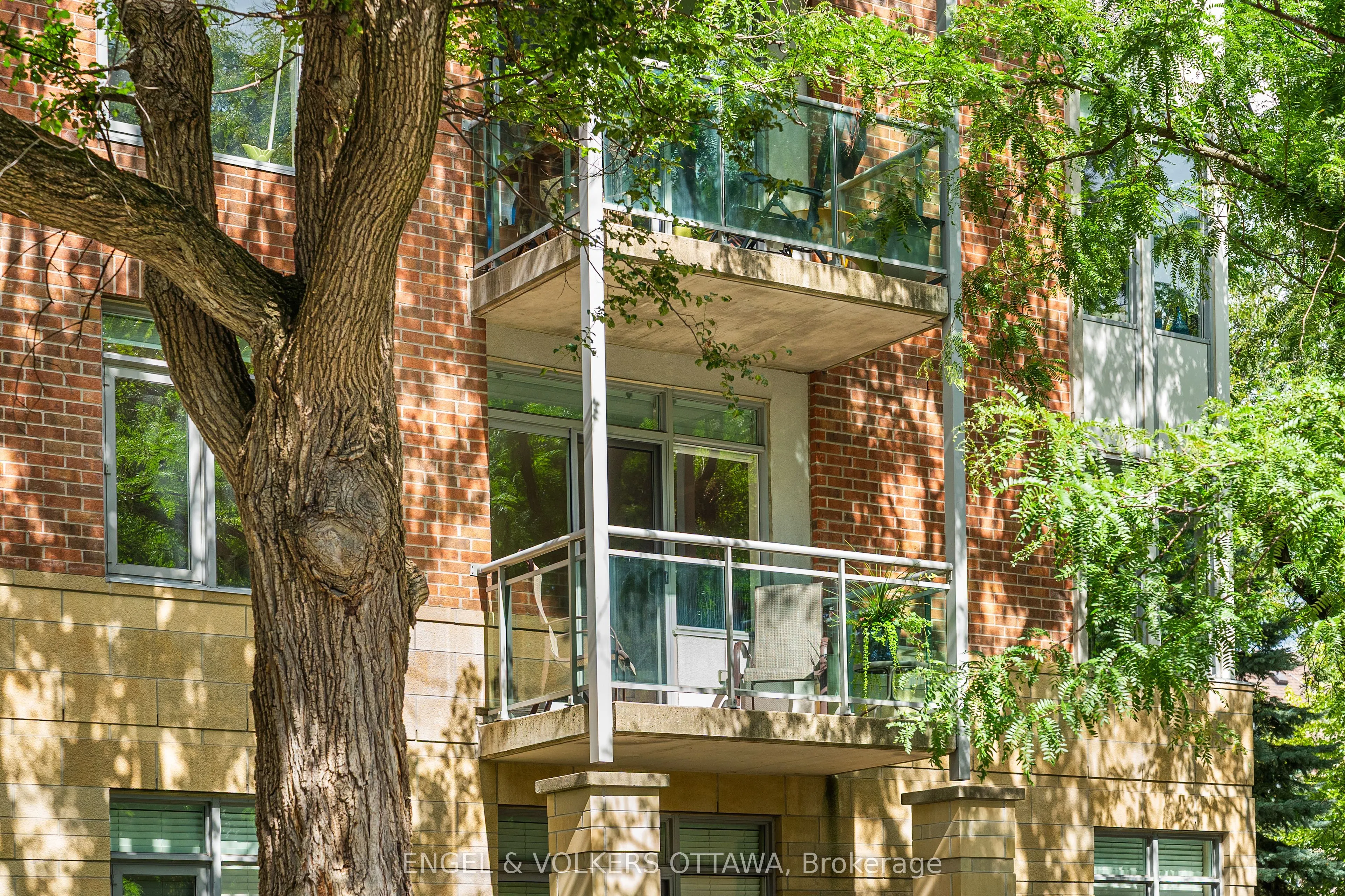 205 Bolton Street, #206
