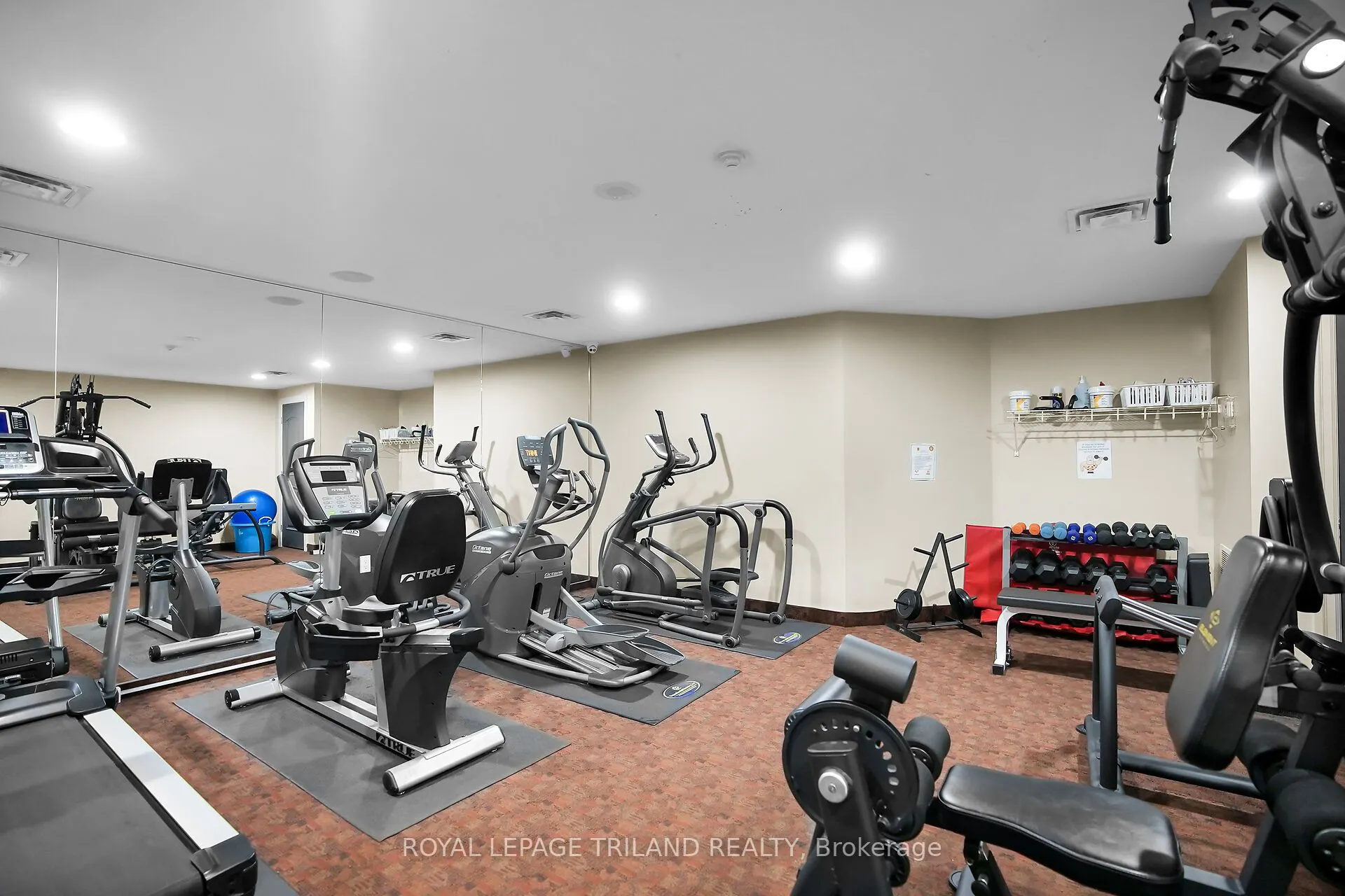 250 PALL MALL Street, #1206