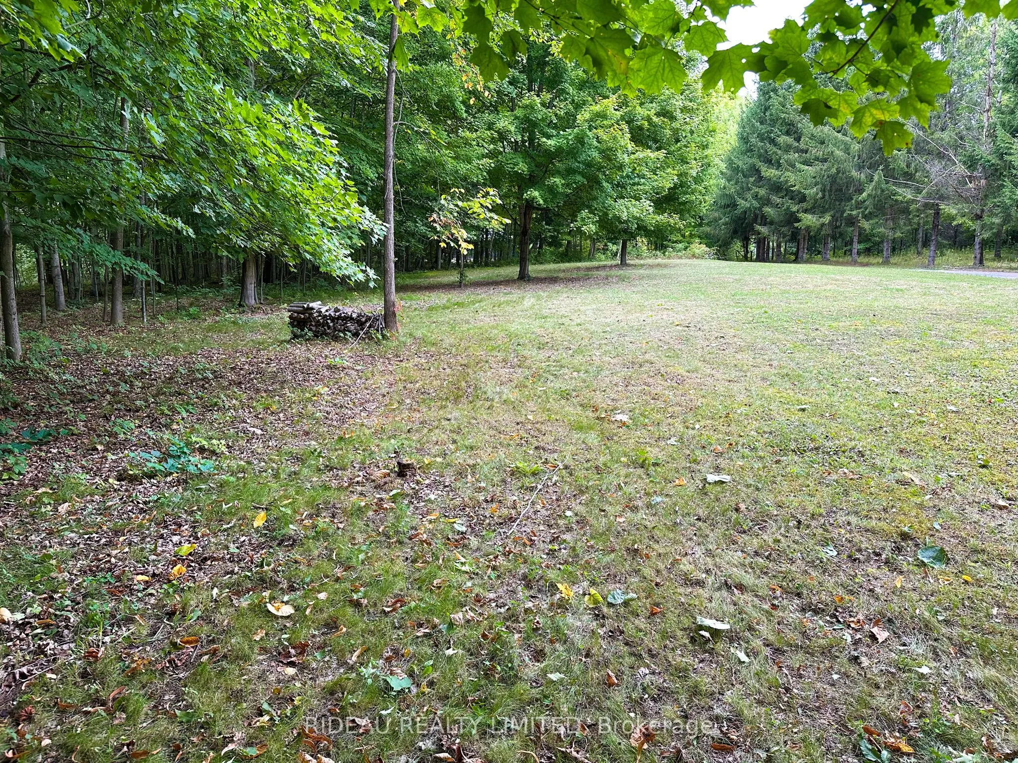 PL4 Cedar Sands Road