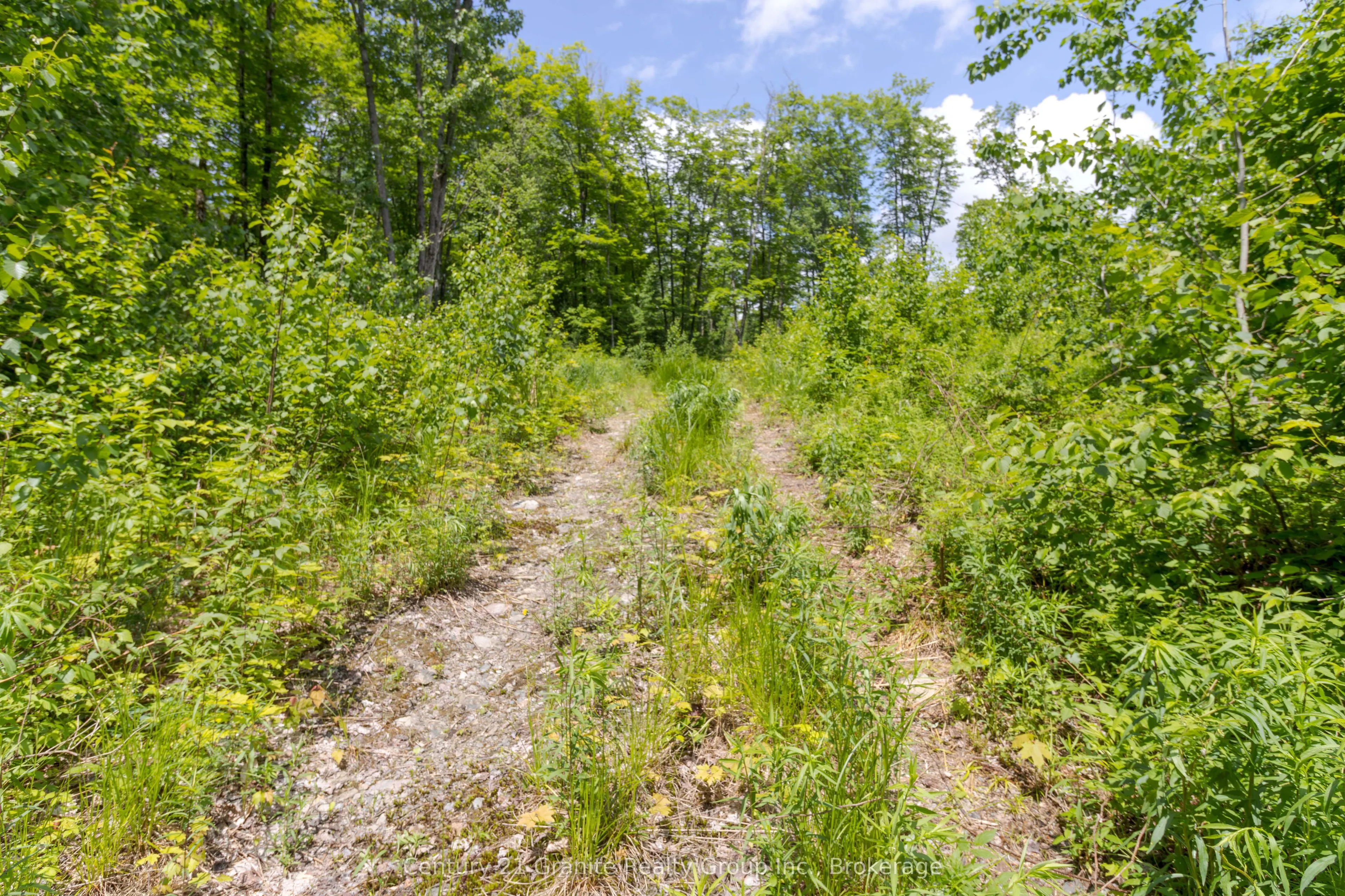 0 Haliburton Lake Road