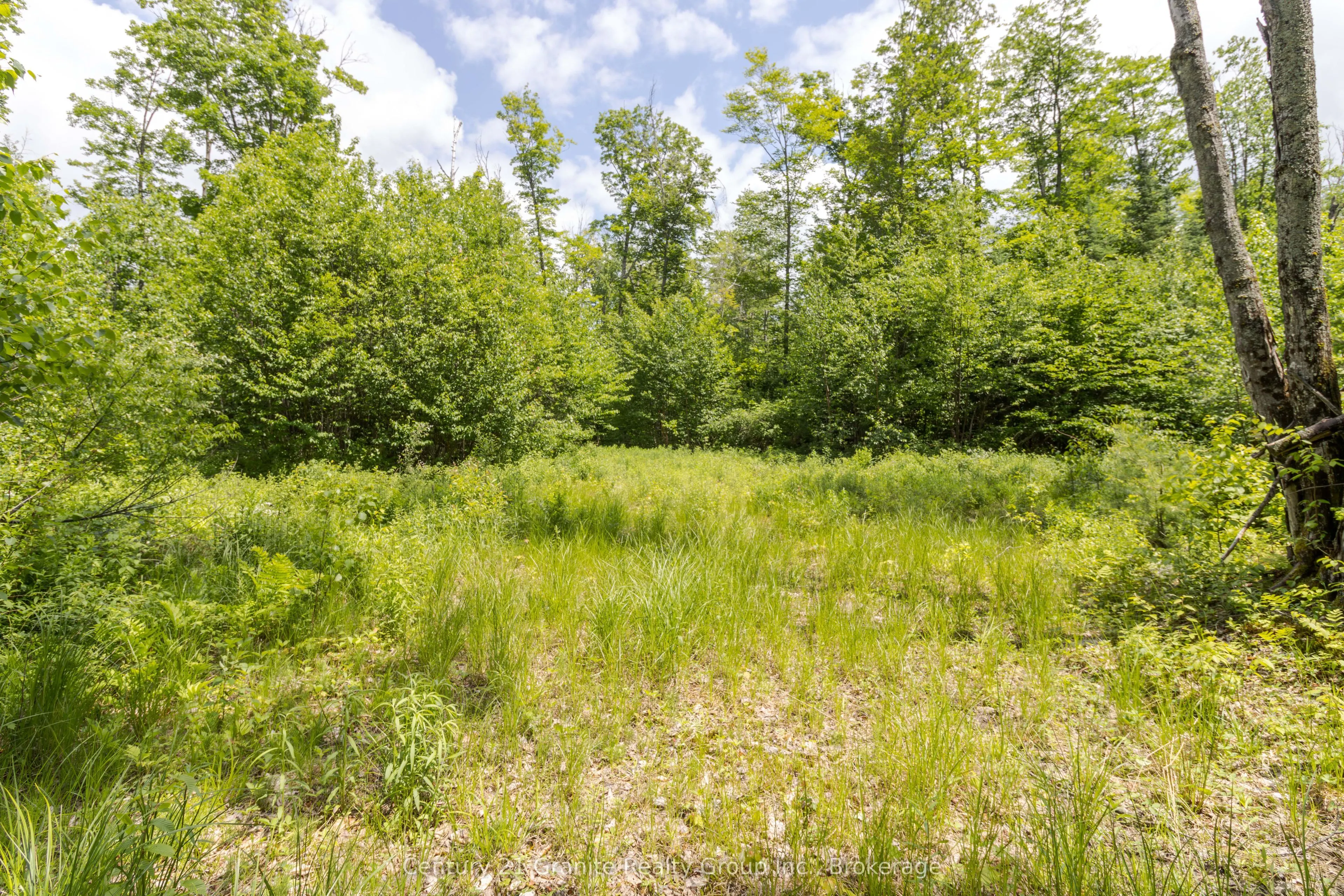 0 Haliburton Lake Road