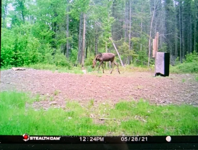 0 Haliburton Lake Road