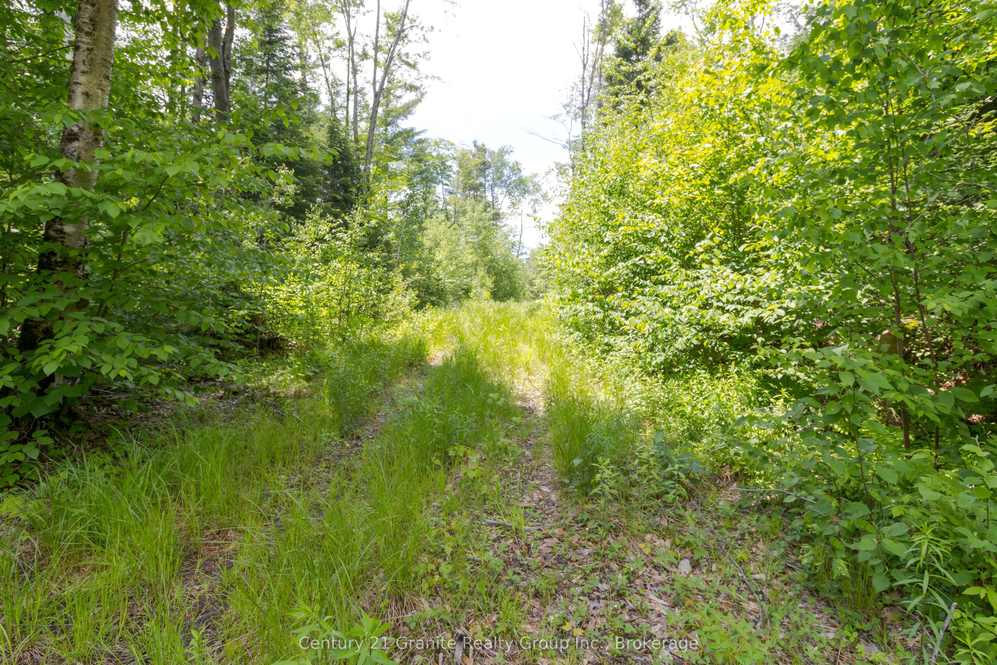 0 Haliburton Lake Road