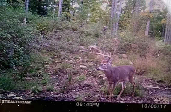 0 Haliburton Lake Road