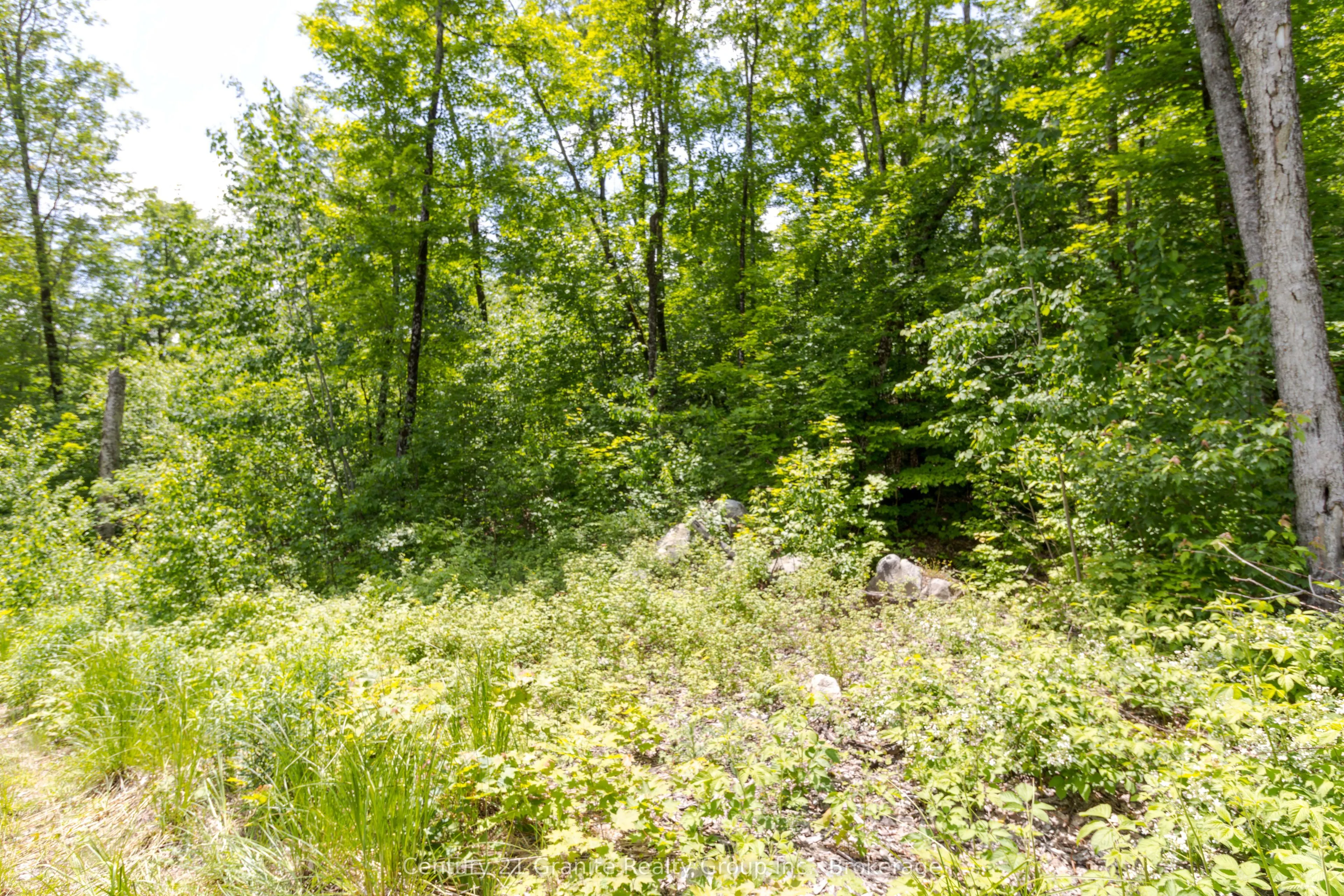 0 Haliburton Lake Road