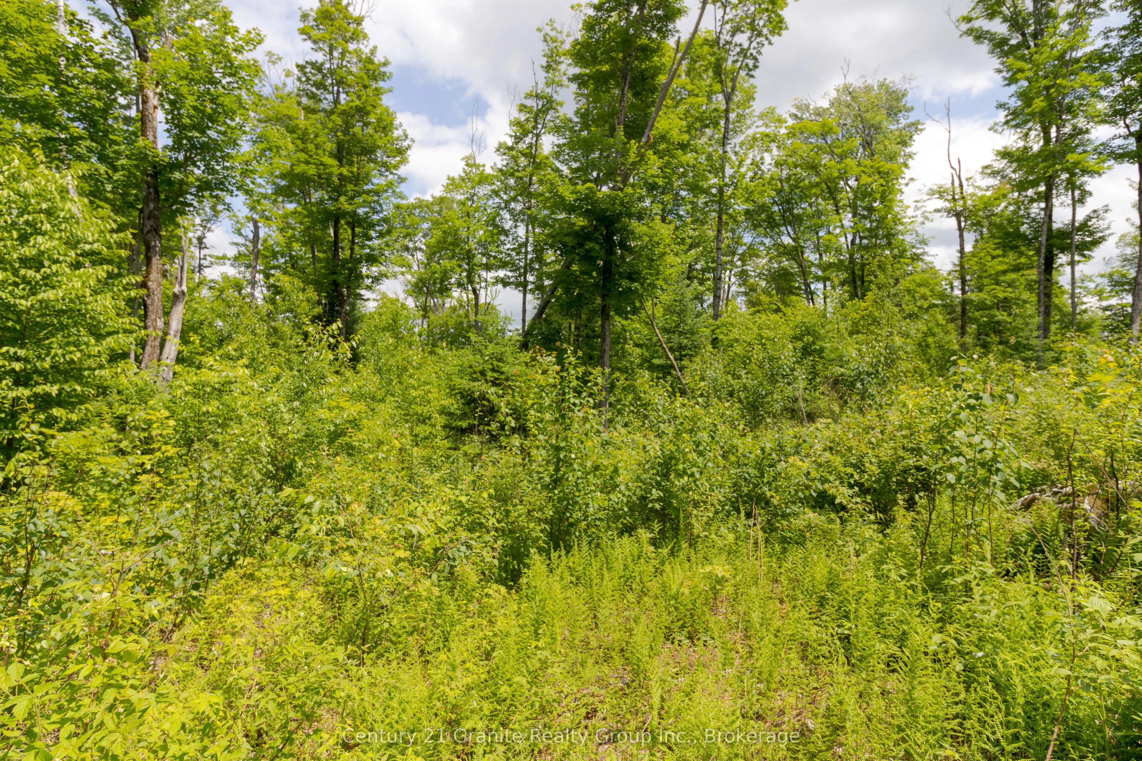 0 Haliburton Lake Road