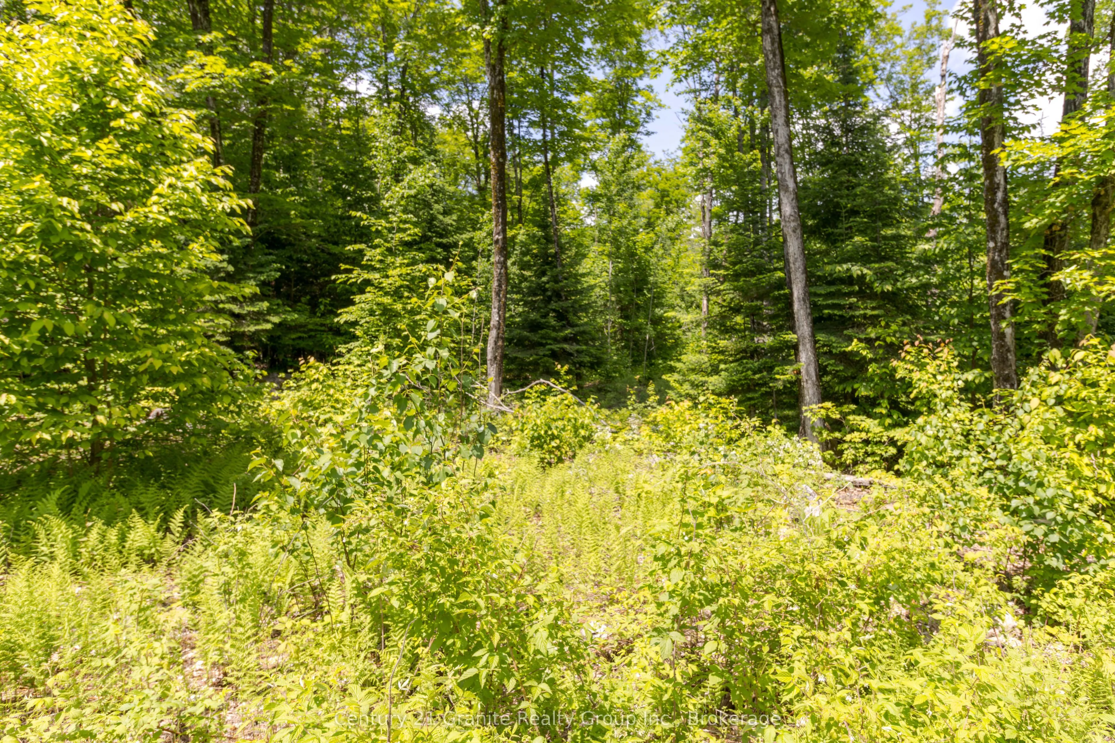 0 Haliburton Lake Road