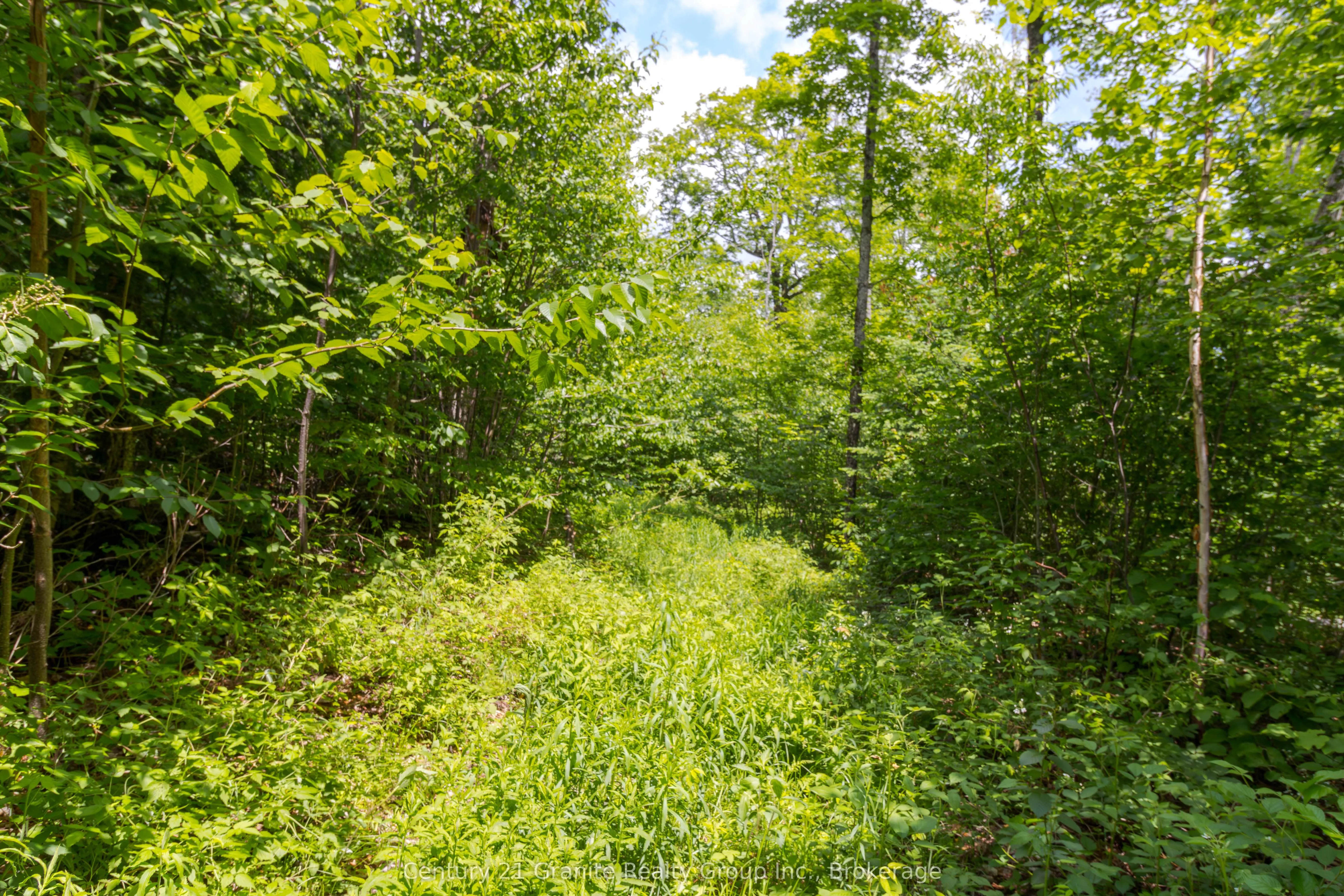 0 Haliburton Lake Road