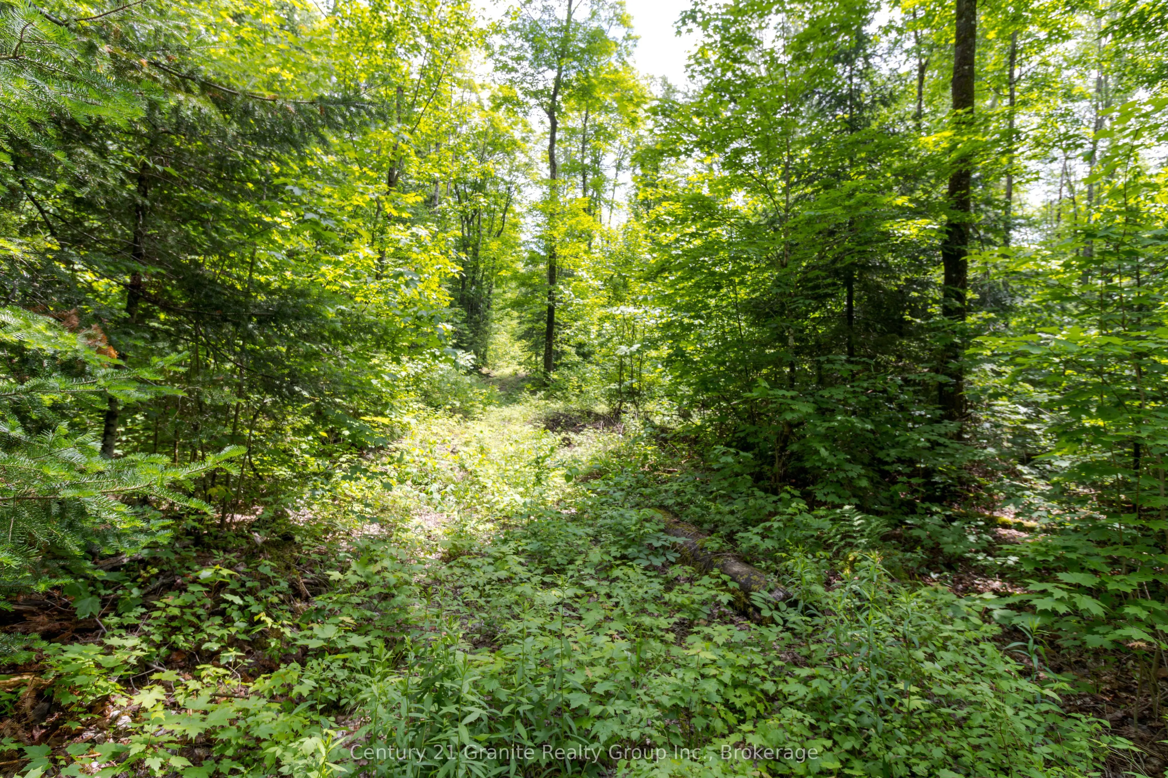0 Haliburton Lake Road