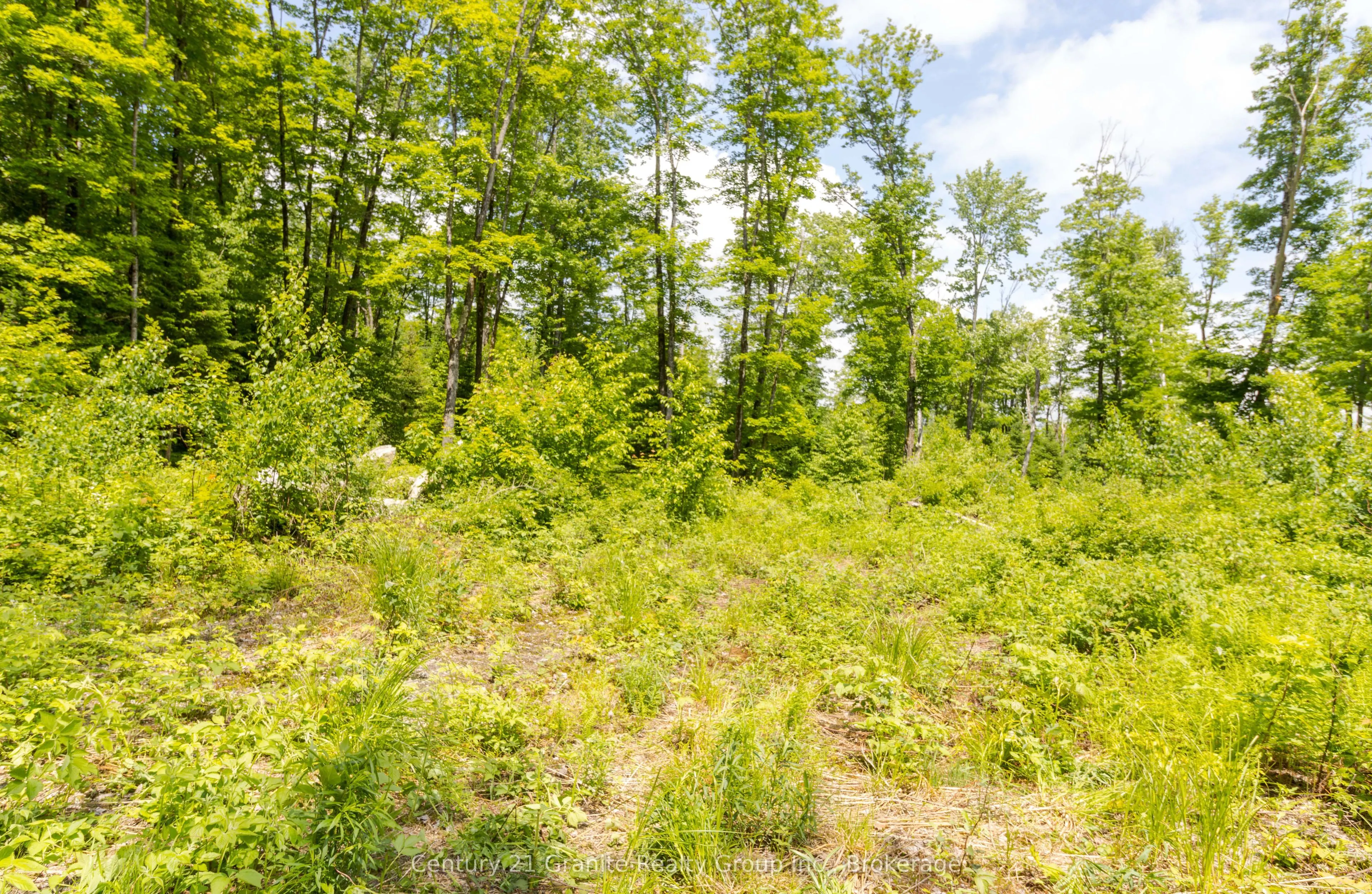 0 Haliburton Lake Road