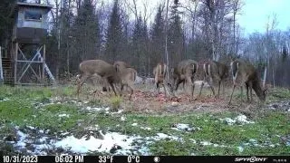 0 Haliburton Lake Road