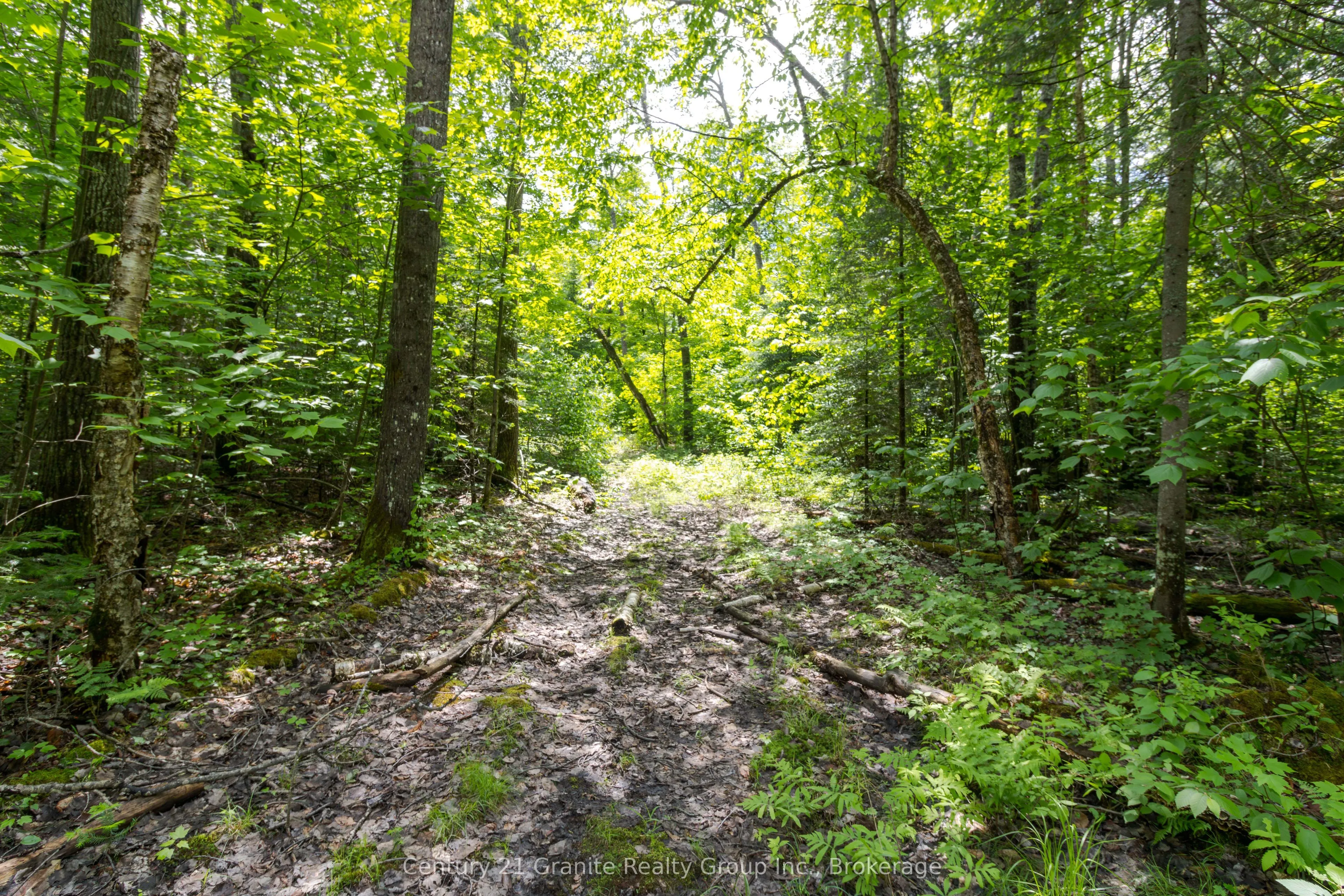 0 Haliburton Lake Road