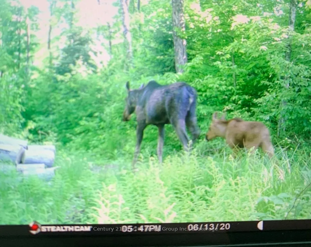 0 Haliburton Lake Road