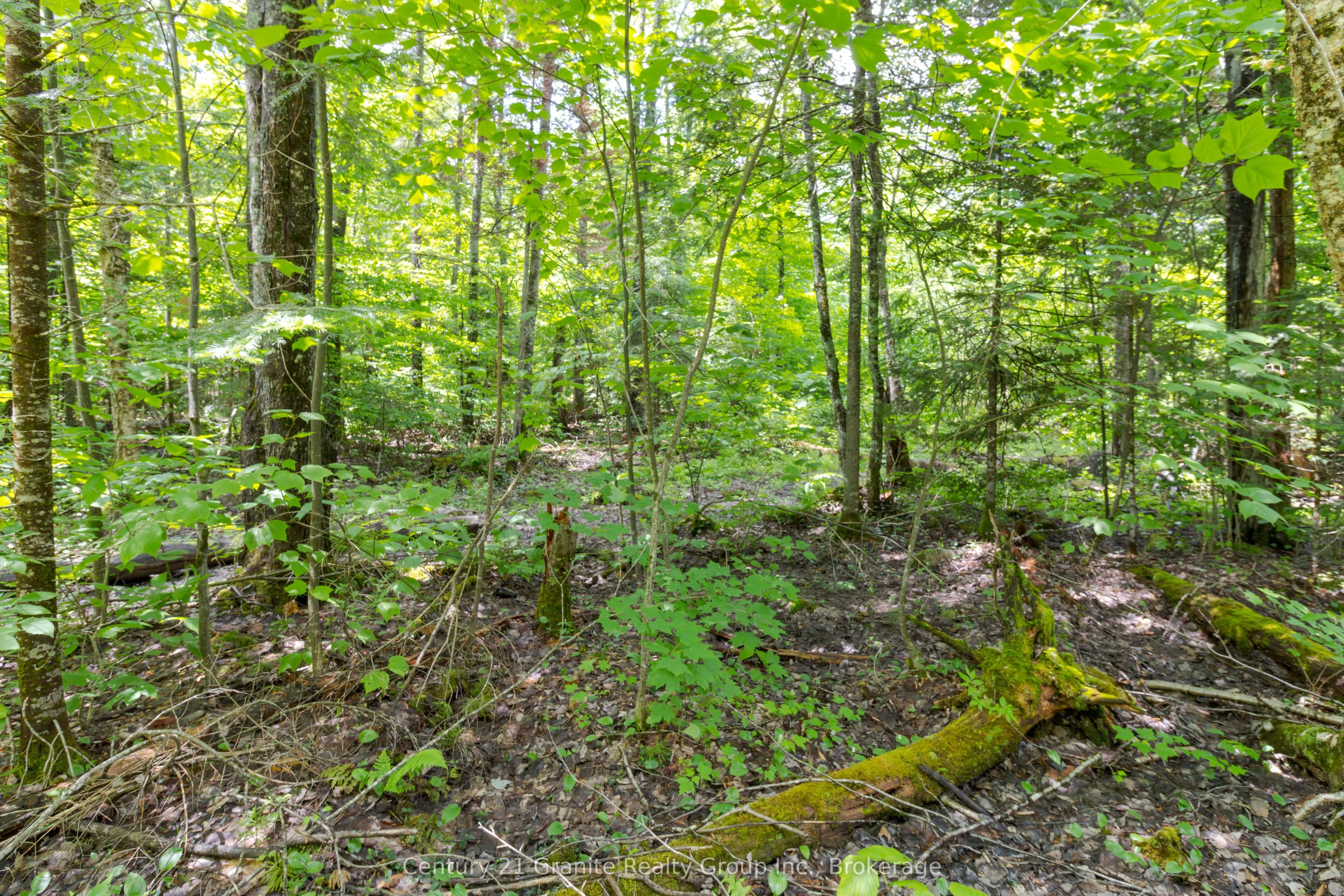0 Haliburton Lake Road