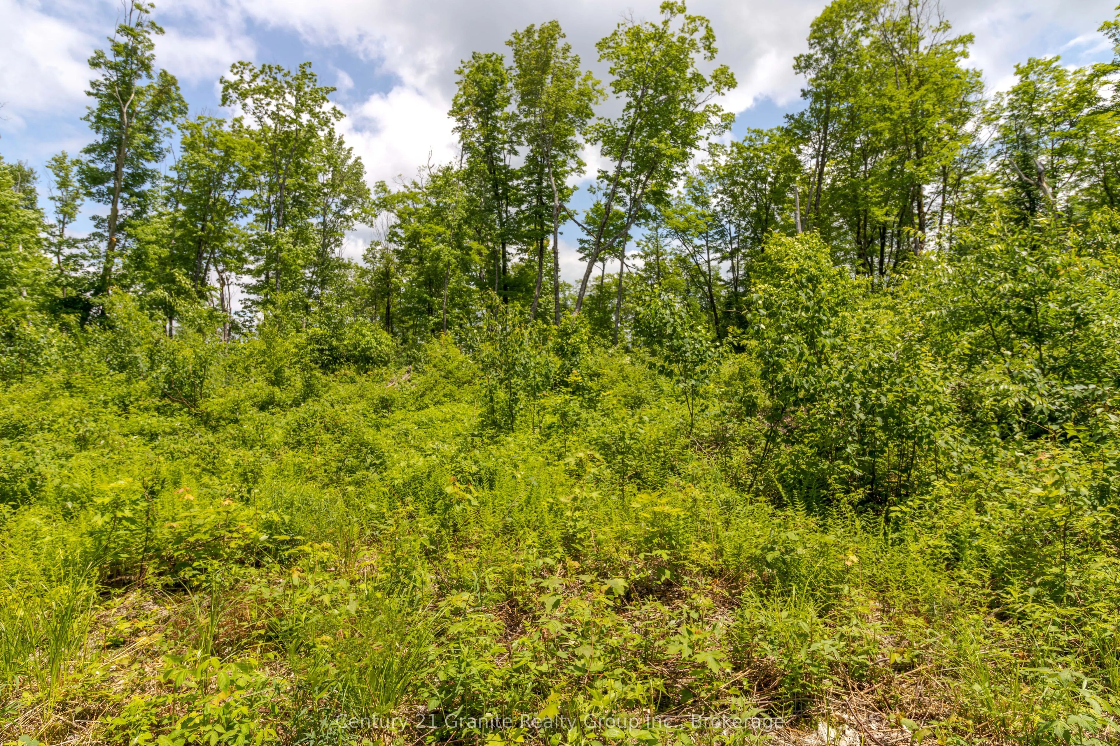 0 Haliburton Lake Road