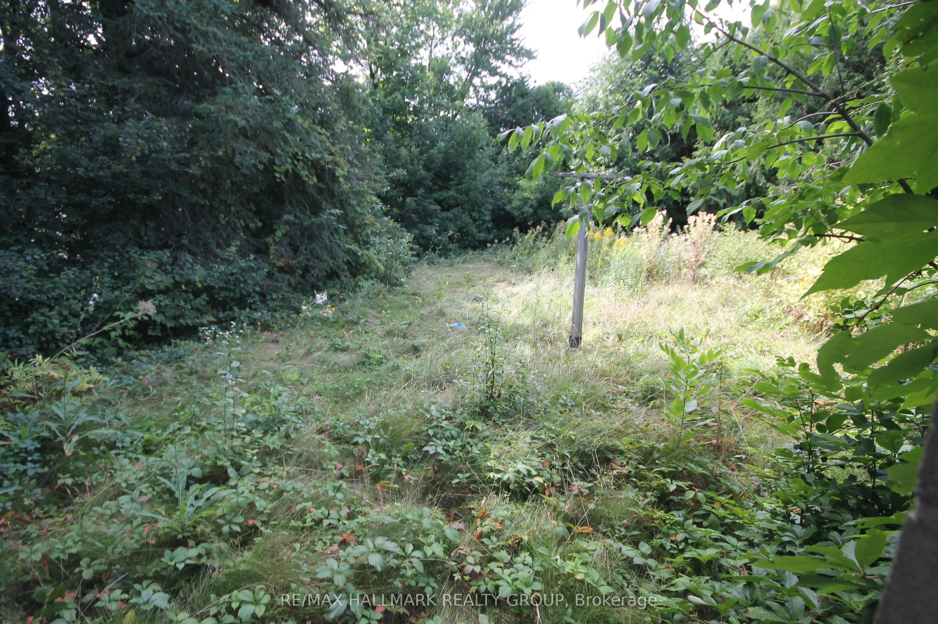 2516 Page Road
