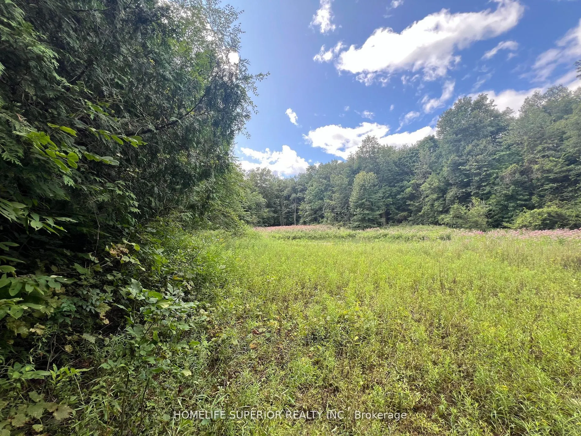 985 Twiddy Road