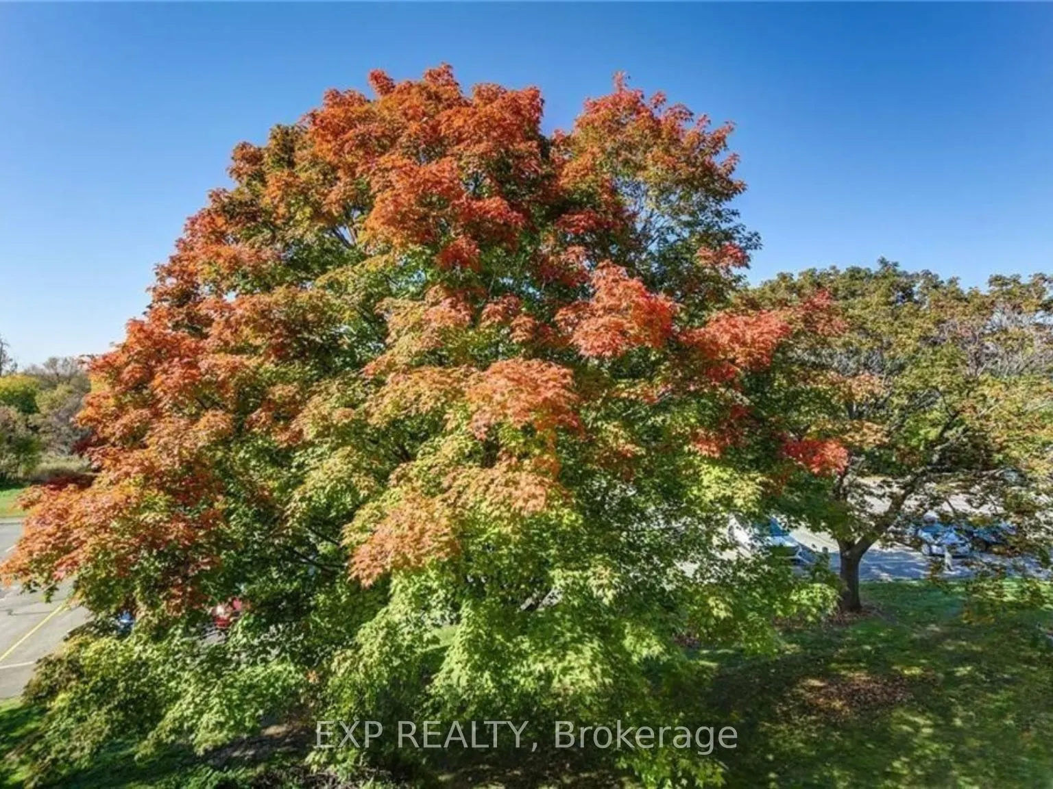 6376 Bilberry Drive, #306