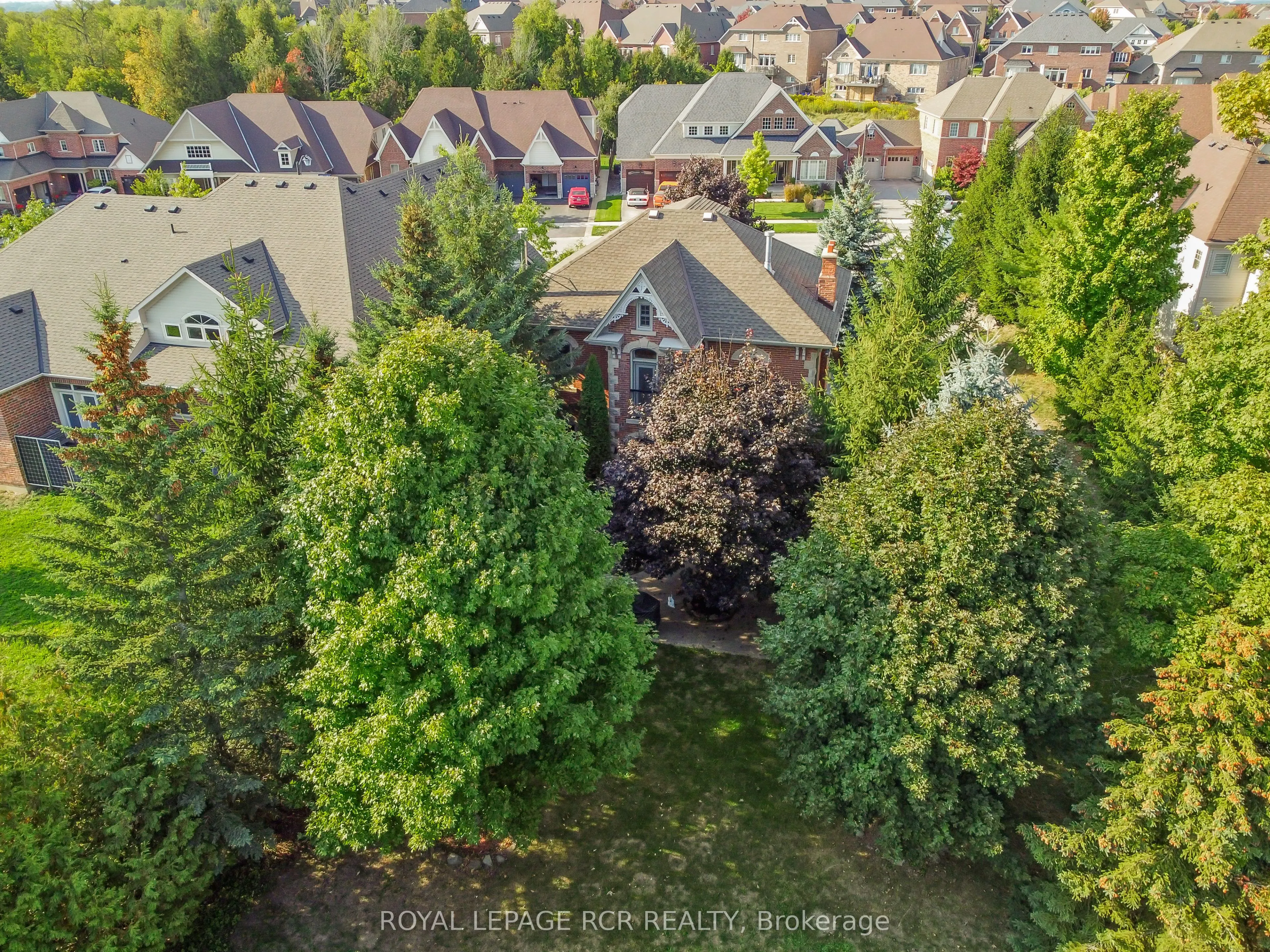 91 French Drive