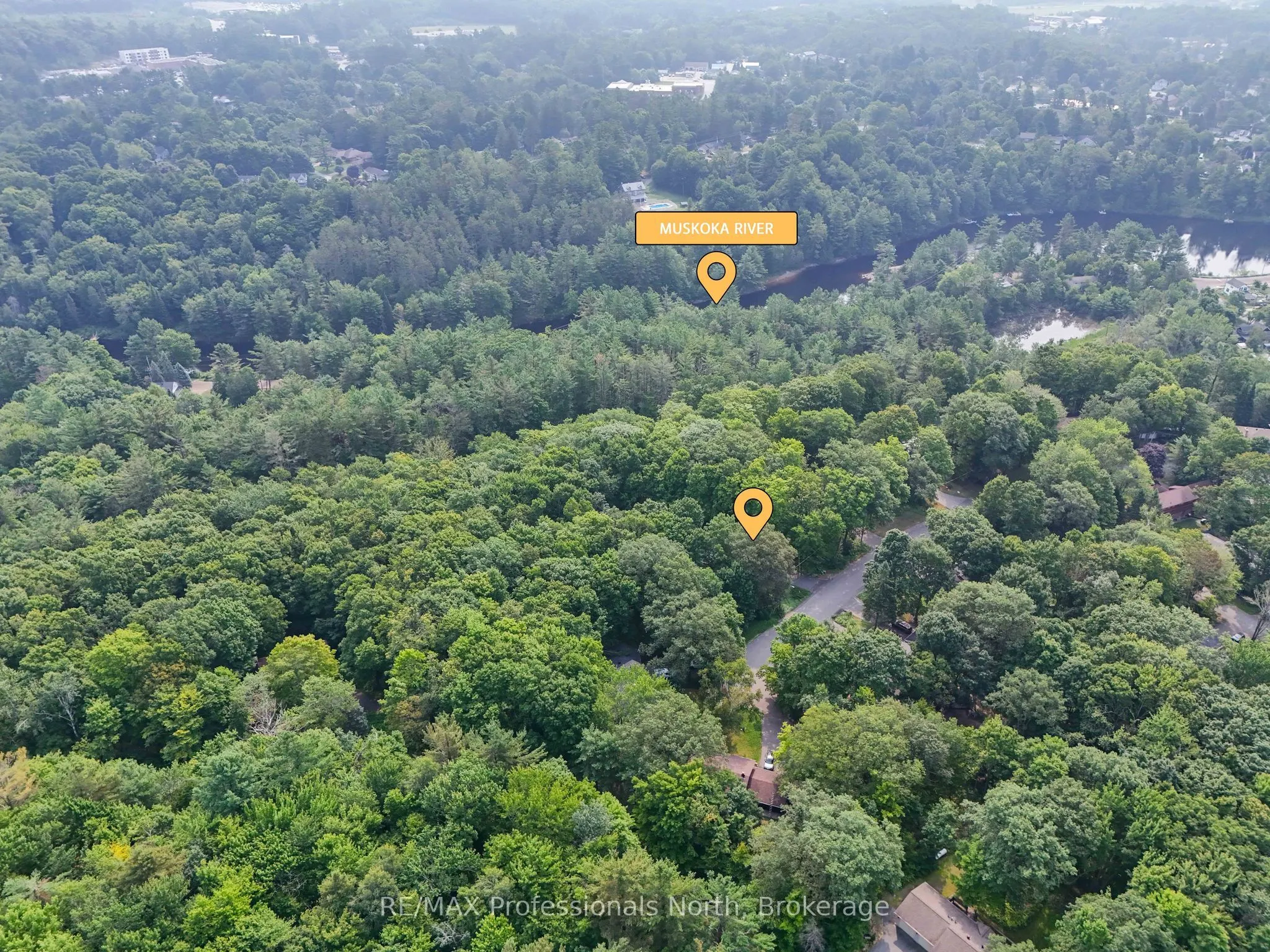62 Woodland Drive