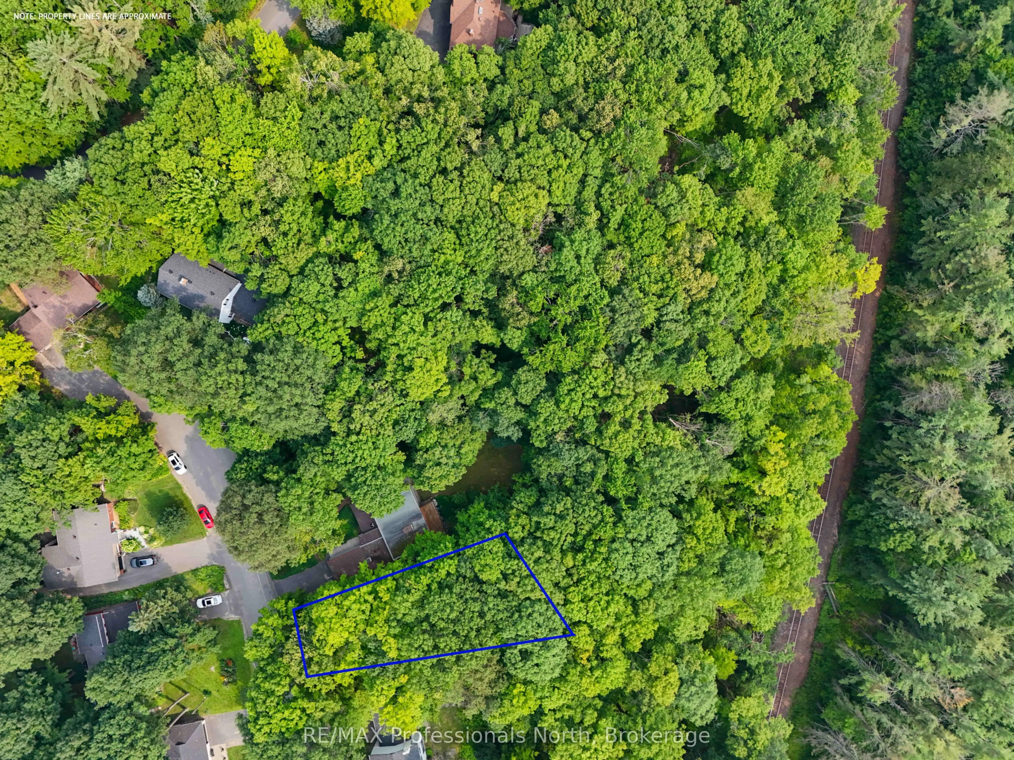 62 Woodland Drive