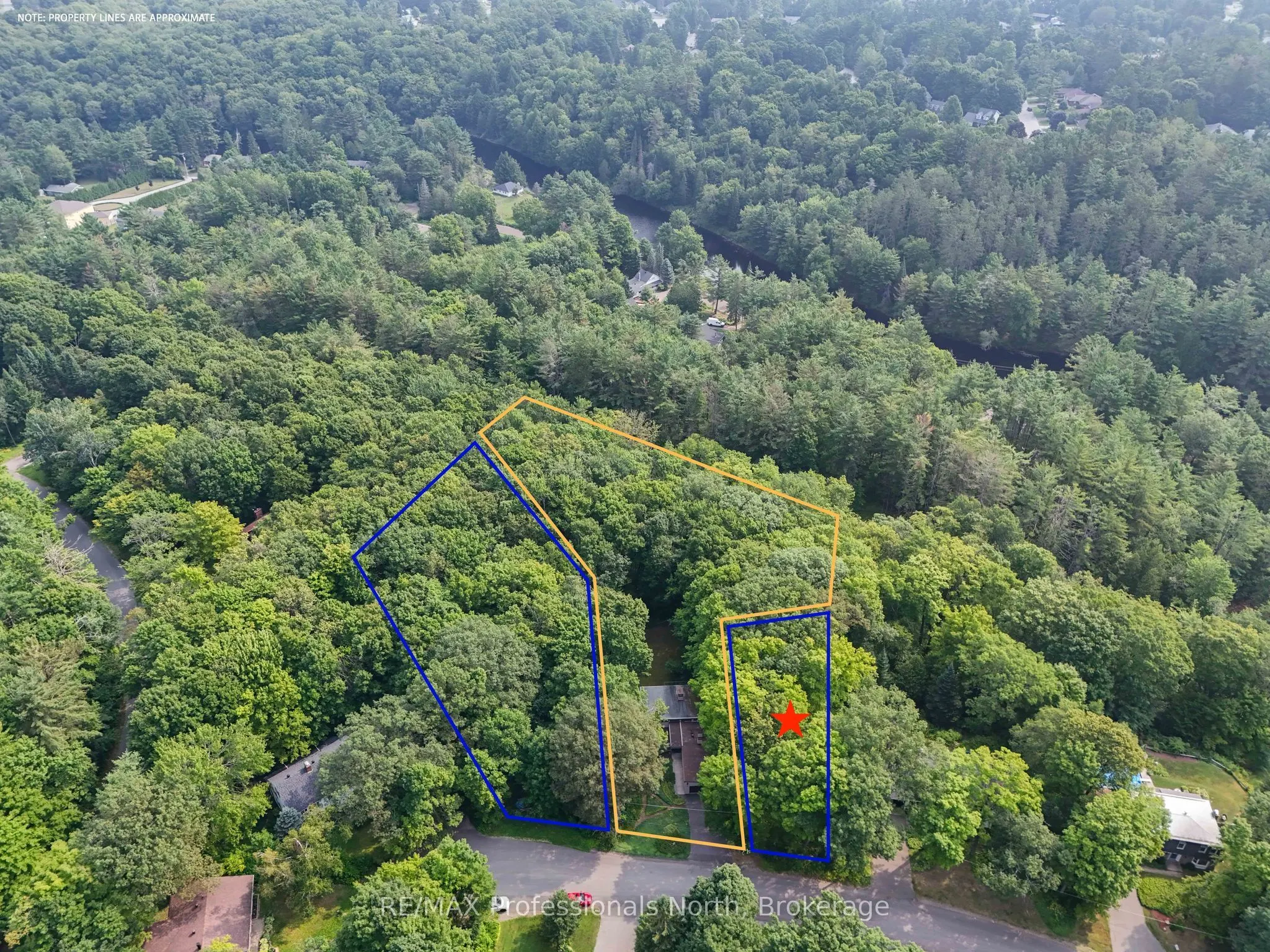 62 Woodland Drive