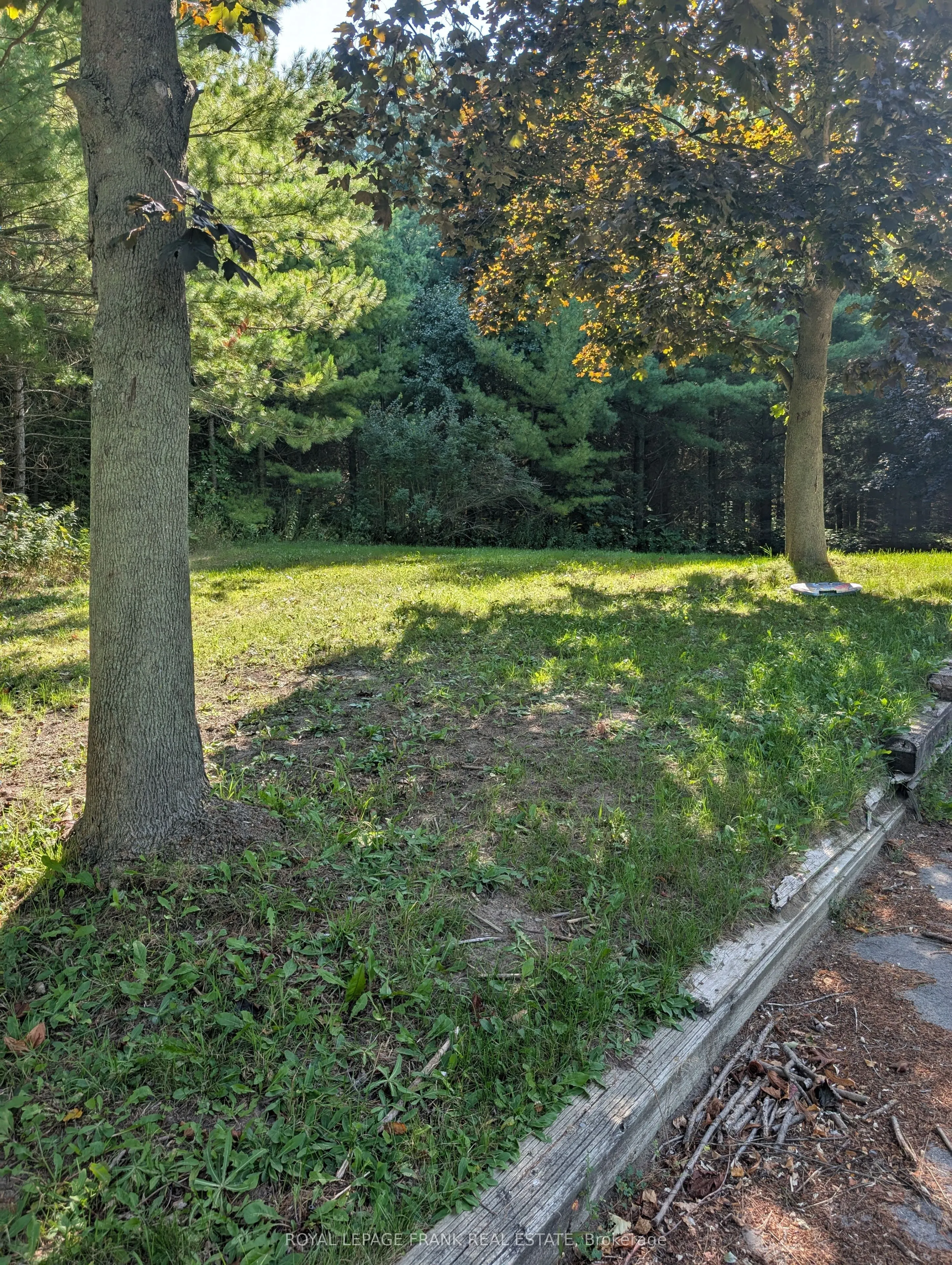 8537 Dale Road, #Basement