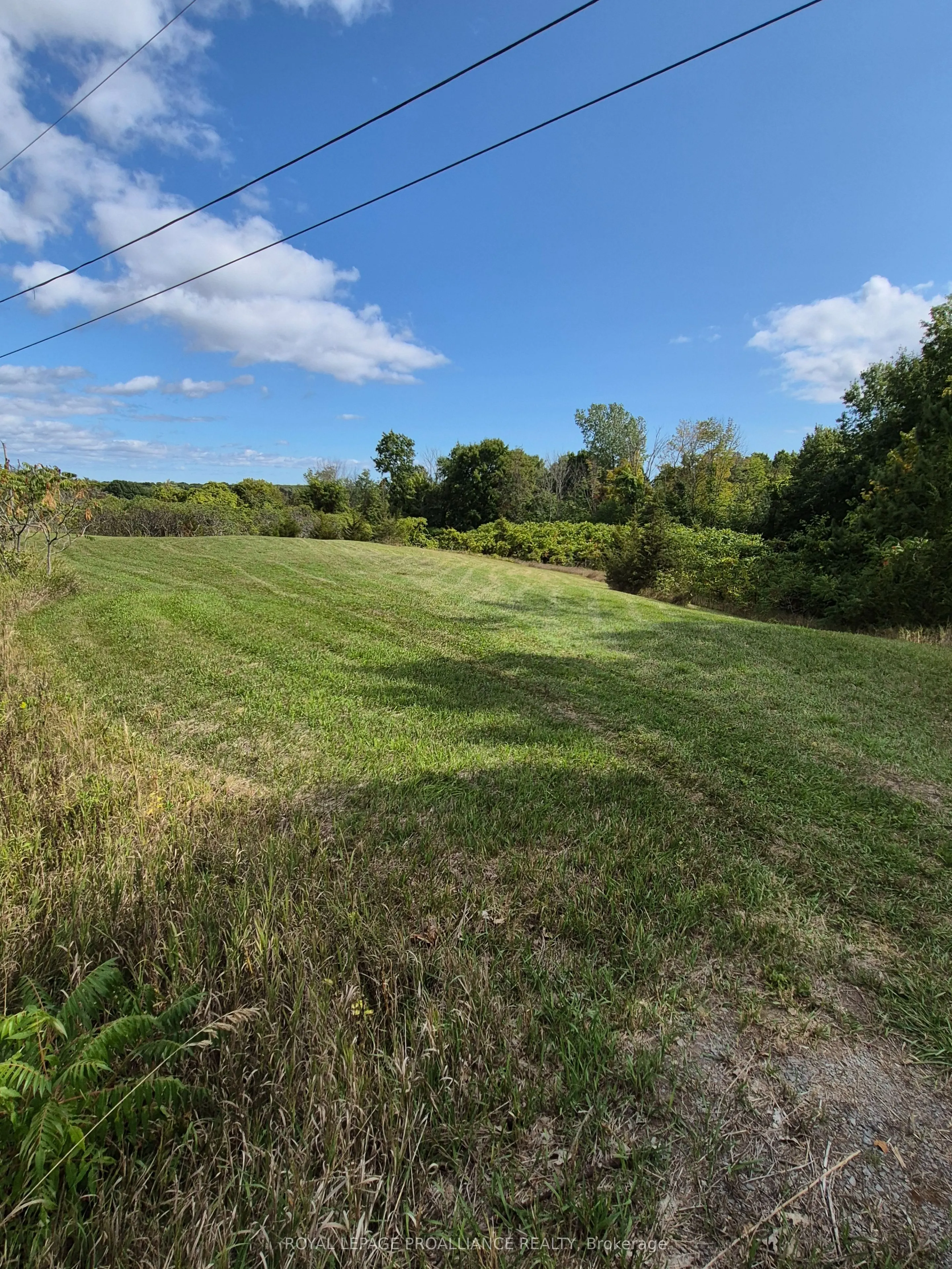 517 Downs Road