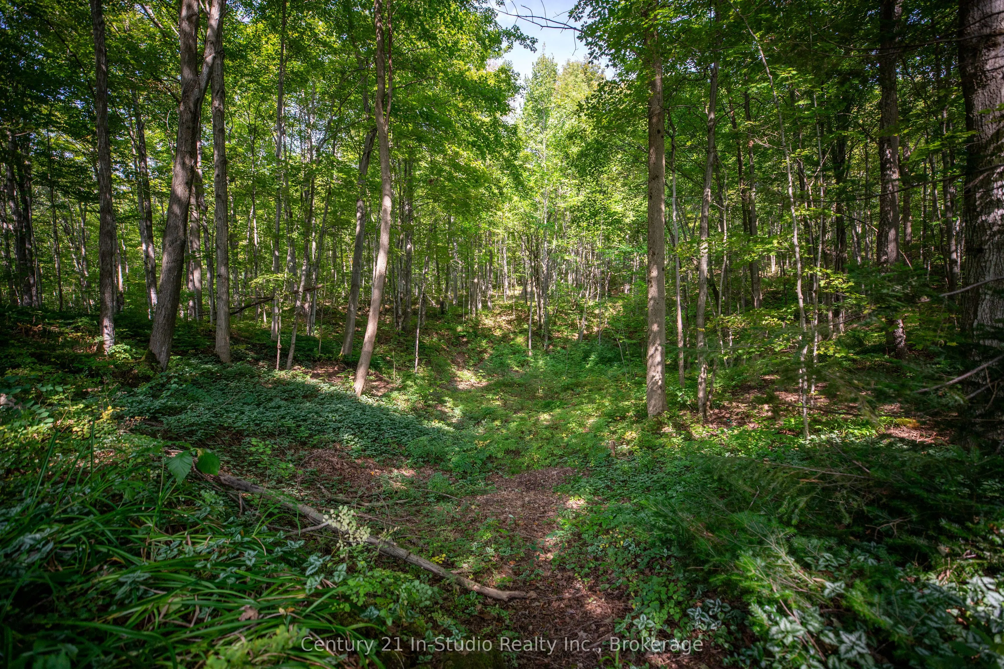 540019 80 Side Road
