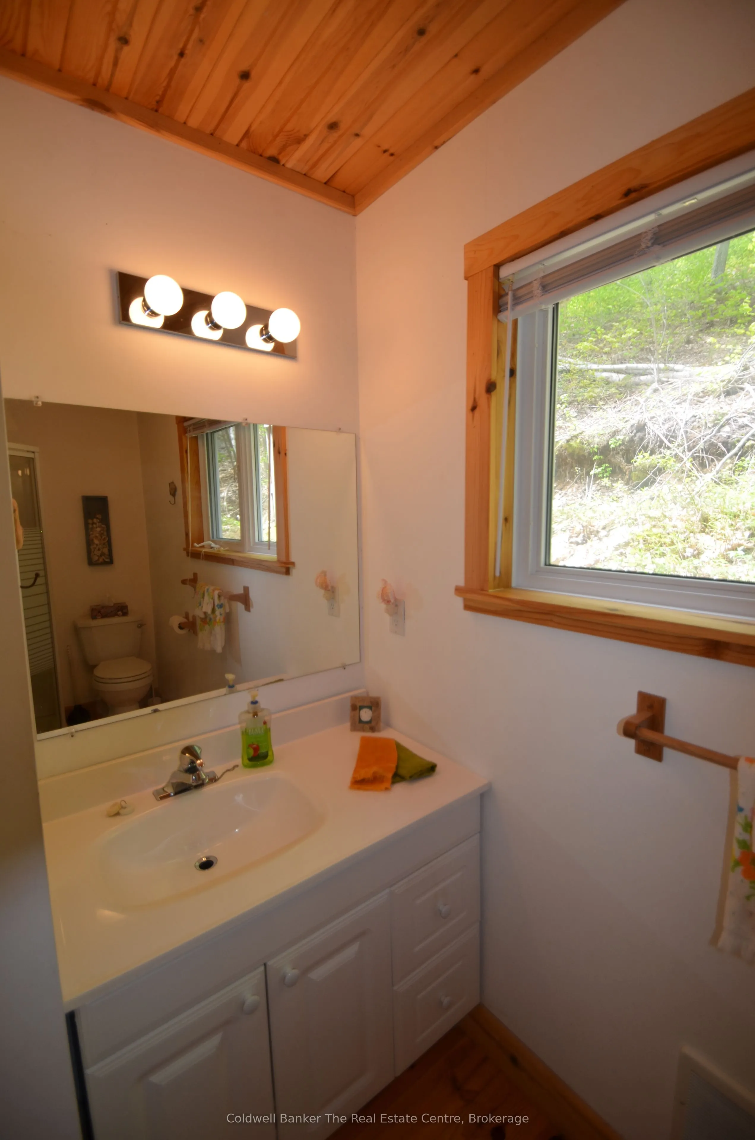 10835 Raven - West Shore Pass