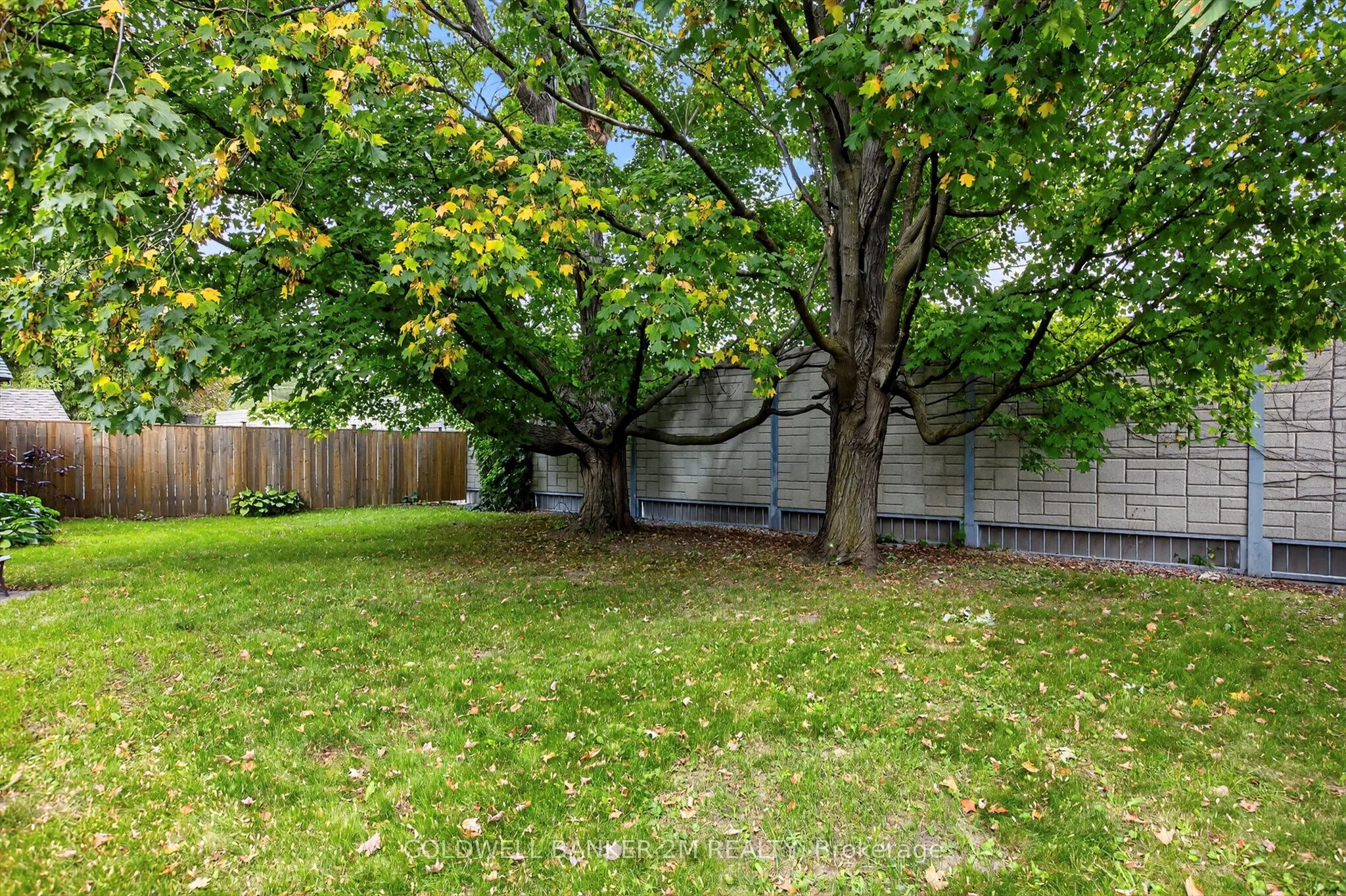 1446 Westbrook Drive