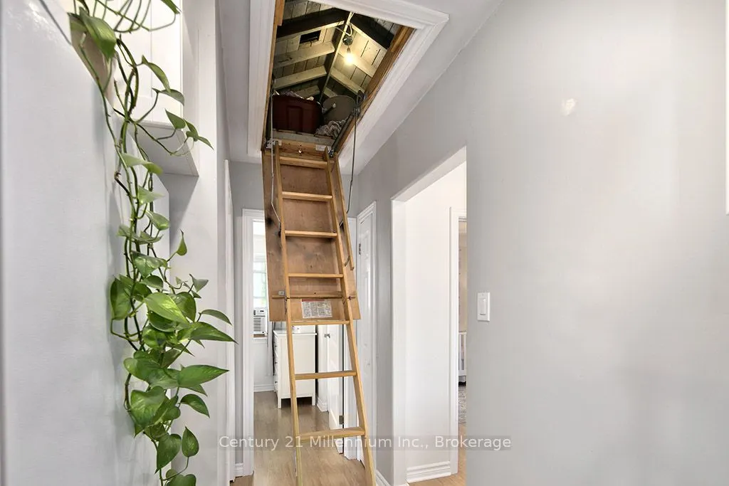 203 Aiken Street