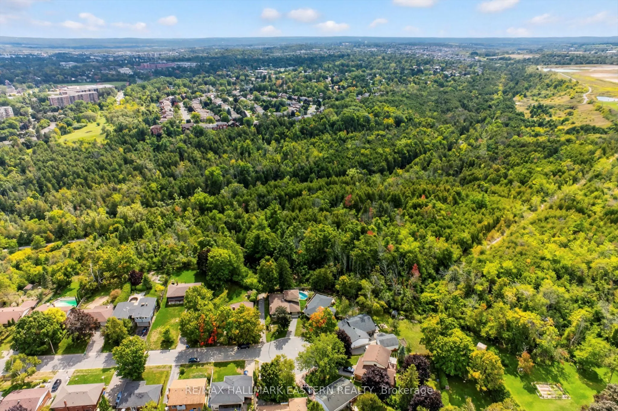 41 Parkview Drive