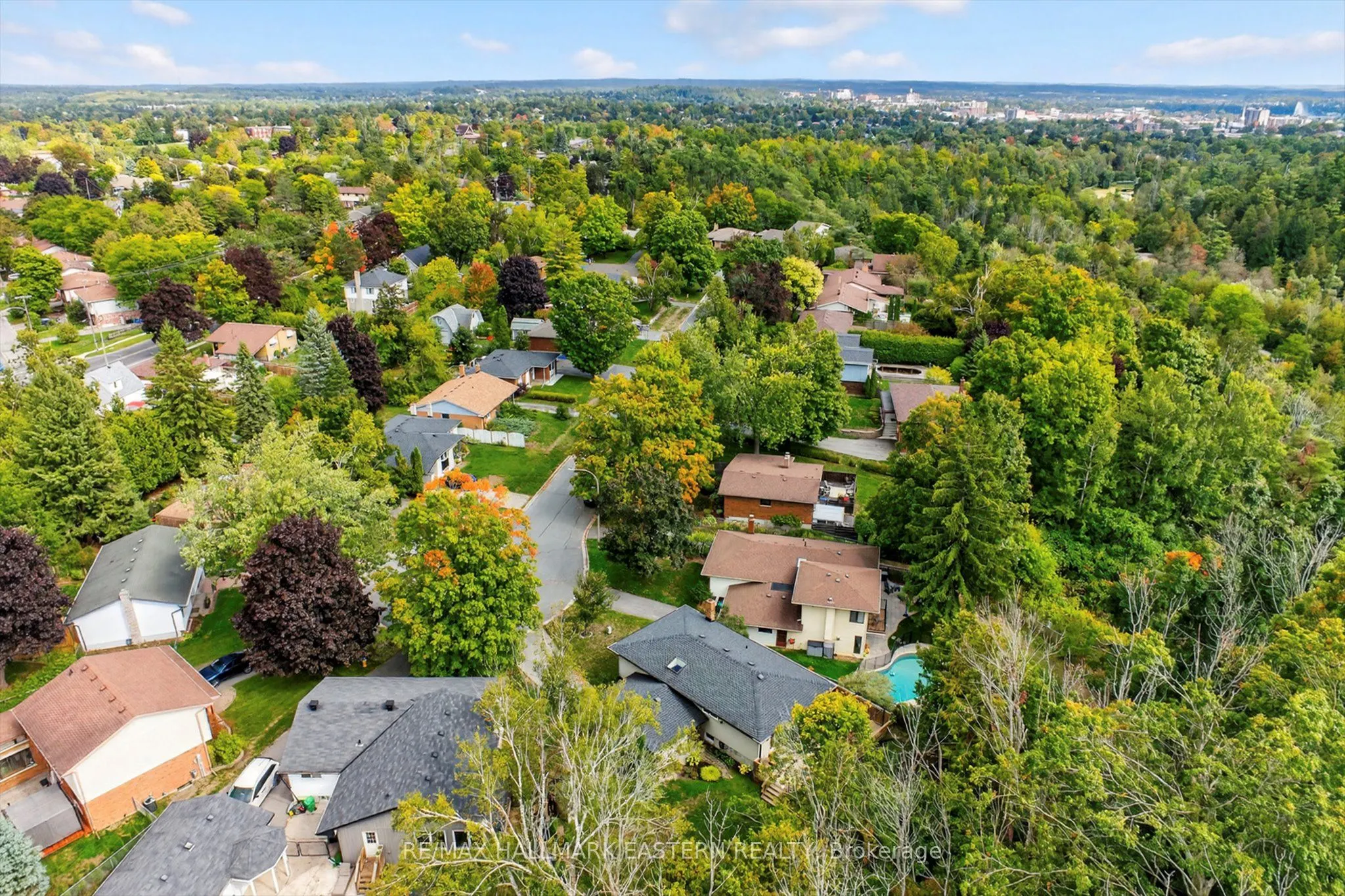 41 Parkview Drive