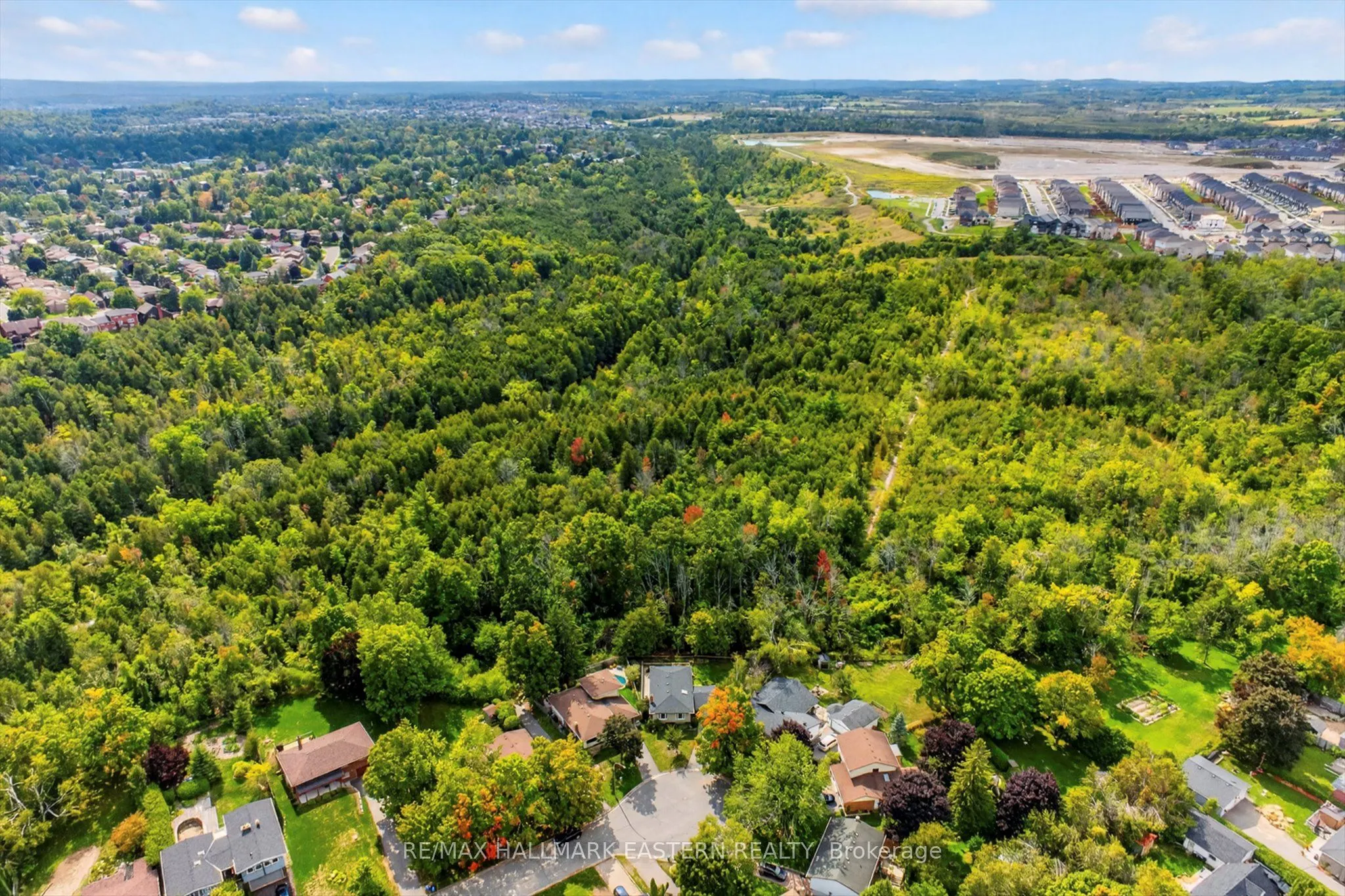41 Parkview Drive
