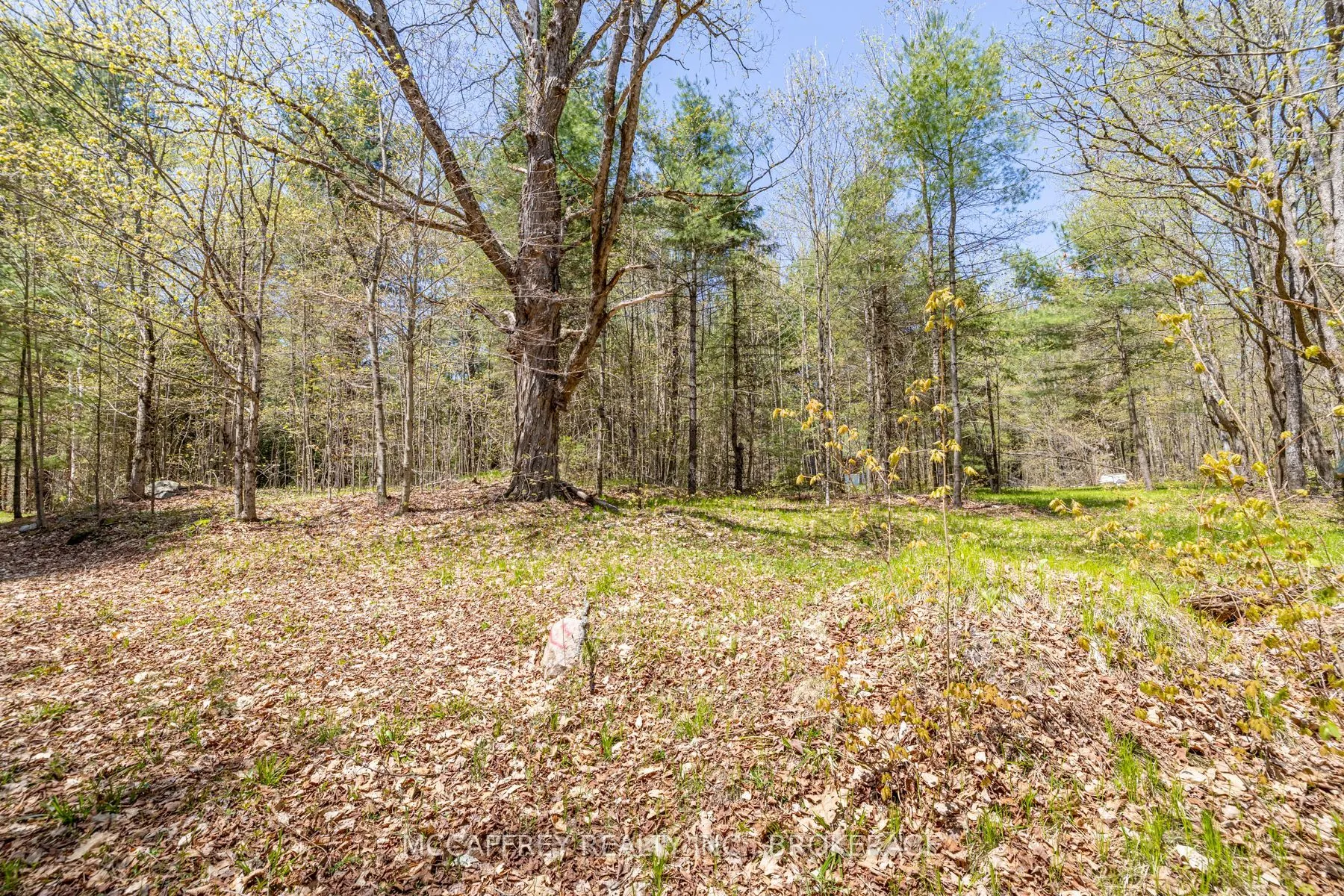 1088 KASHWAKAMAK LAKE Road