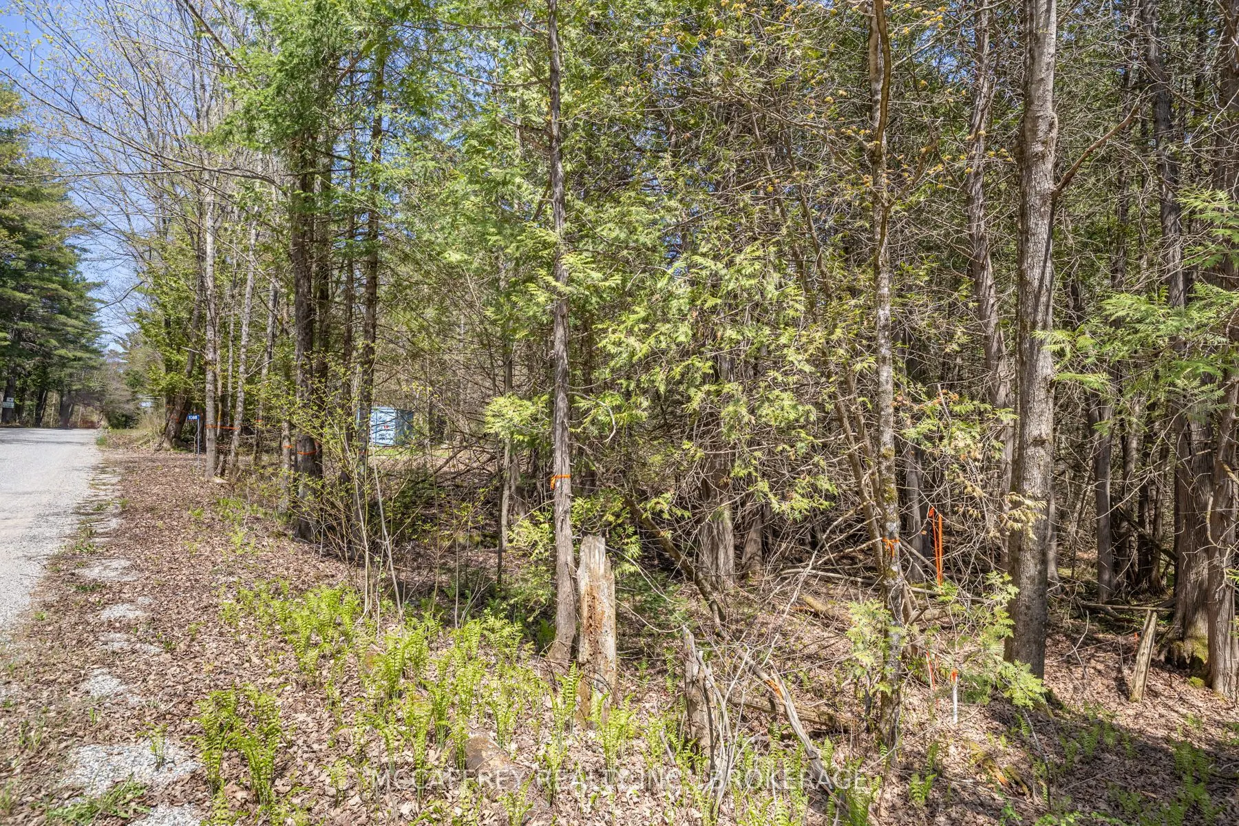1088 KASHWAKAMAK LAKE Road