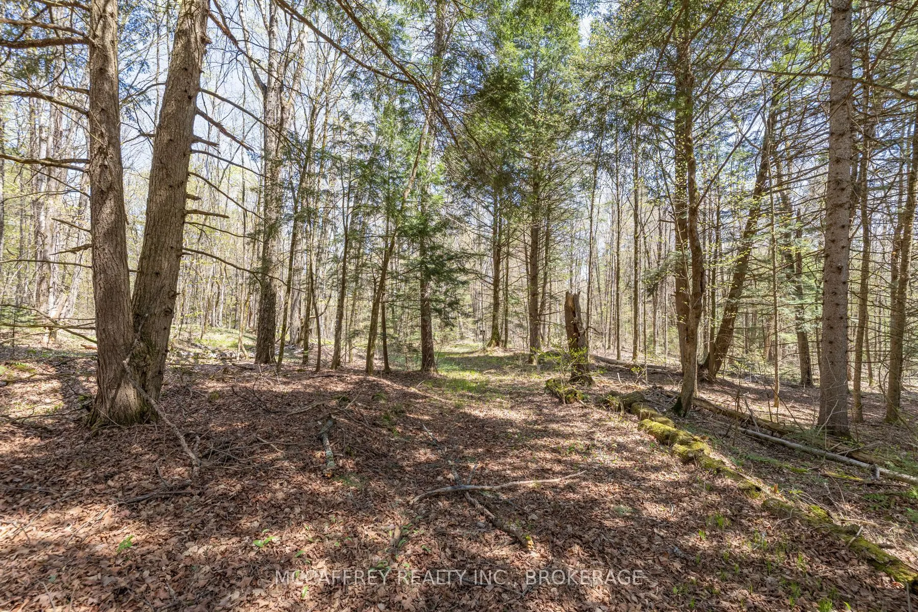 1088 KASHWAKAMAK LAKE Road