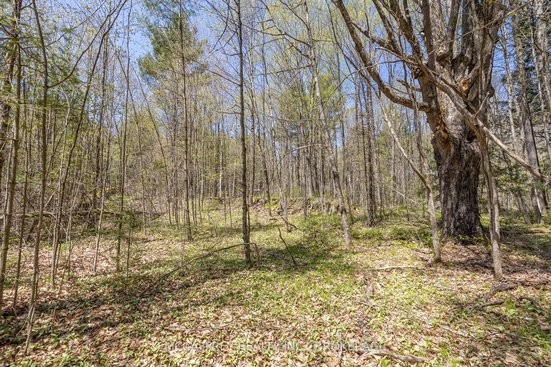 1088 KASHWAKAMAK LAKE Road